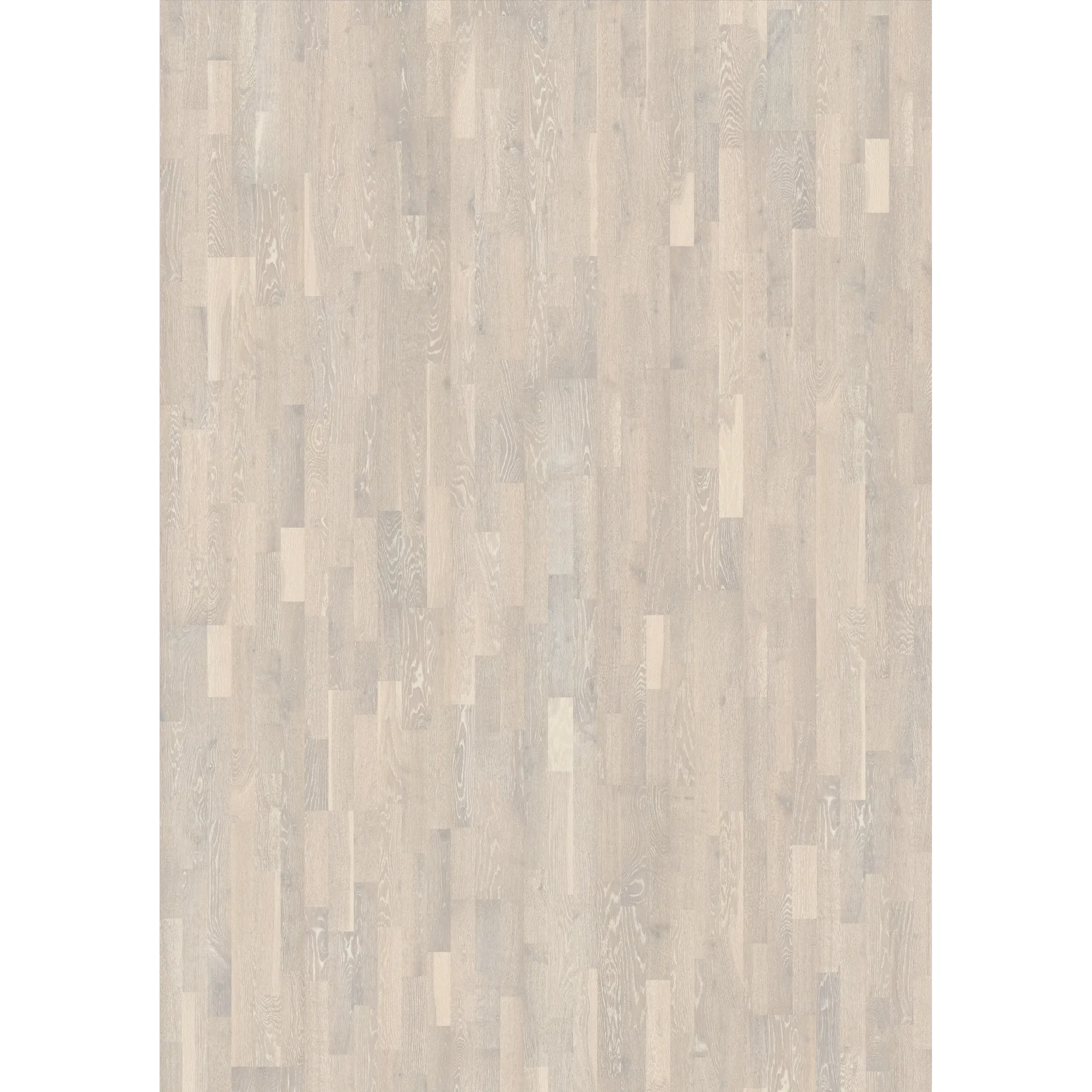 Oak Limestone