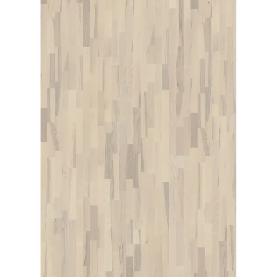 Ash Coral