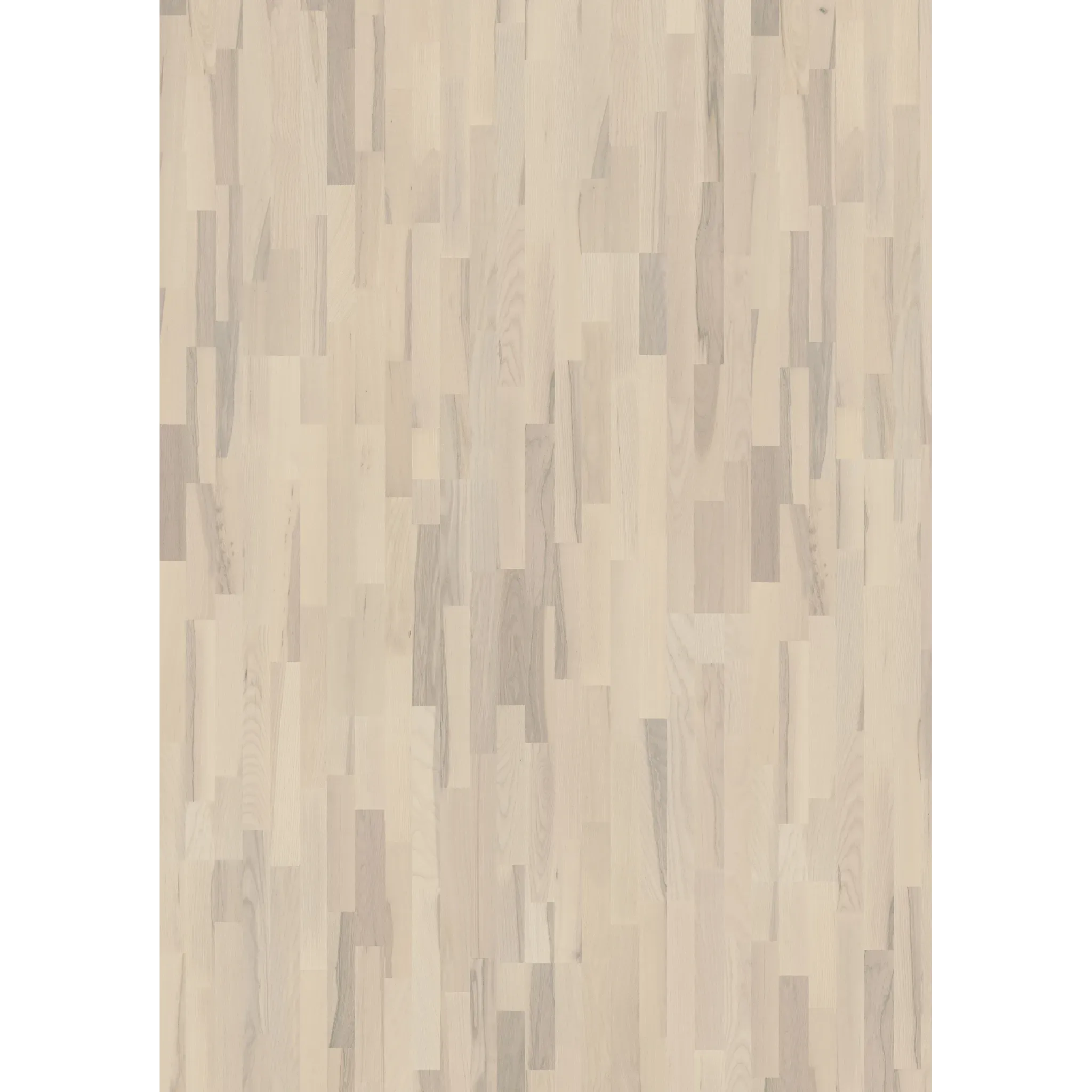 Ash Coral
