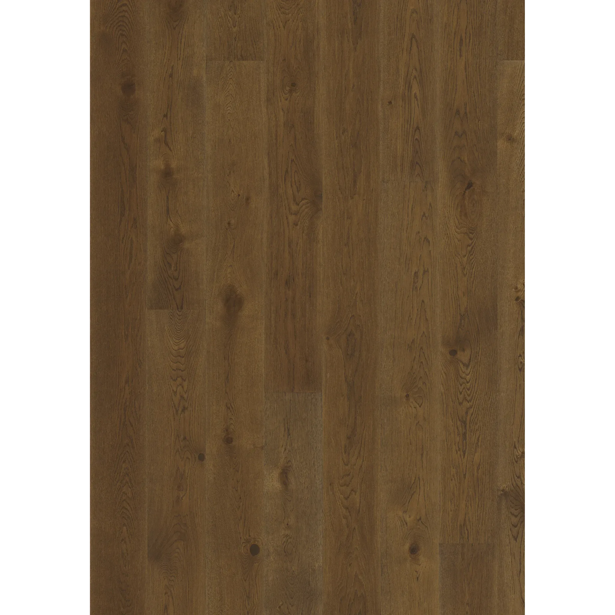 Oak Nouveau Rich