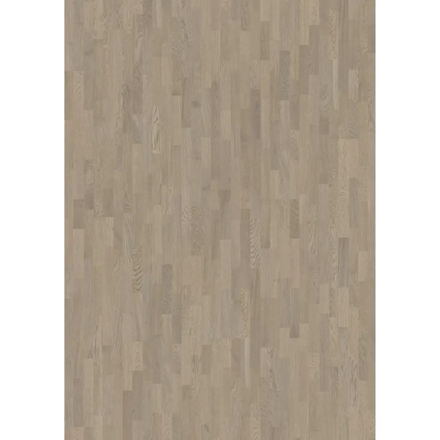 Oak Eclipse