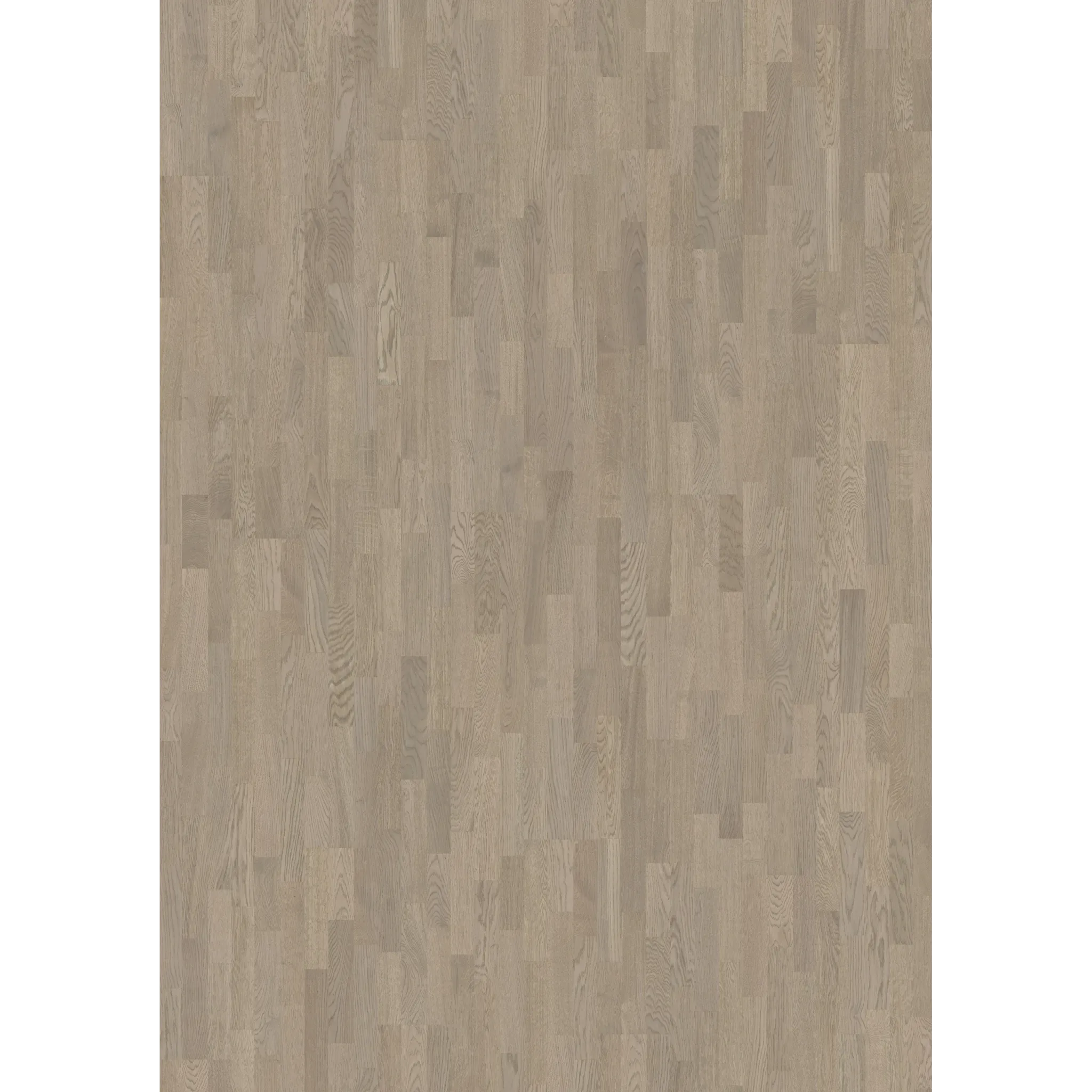 Oak Eclipse