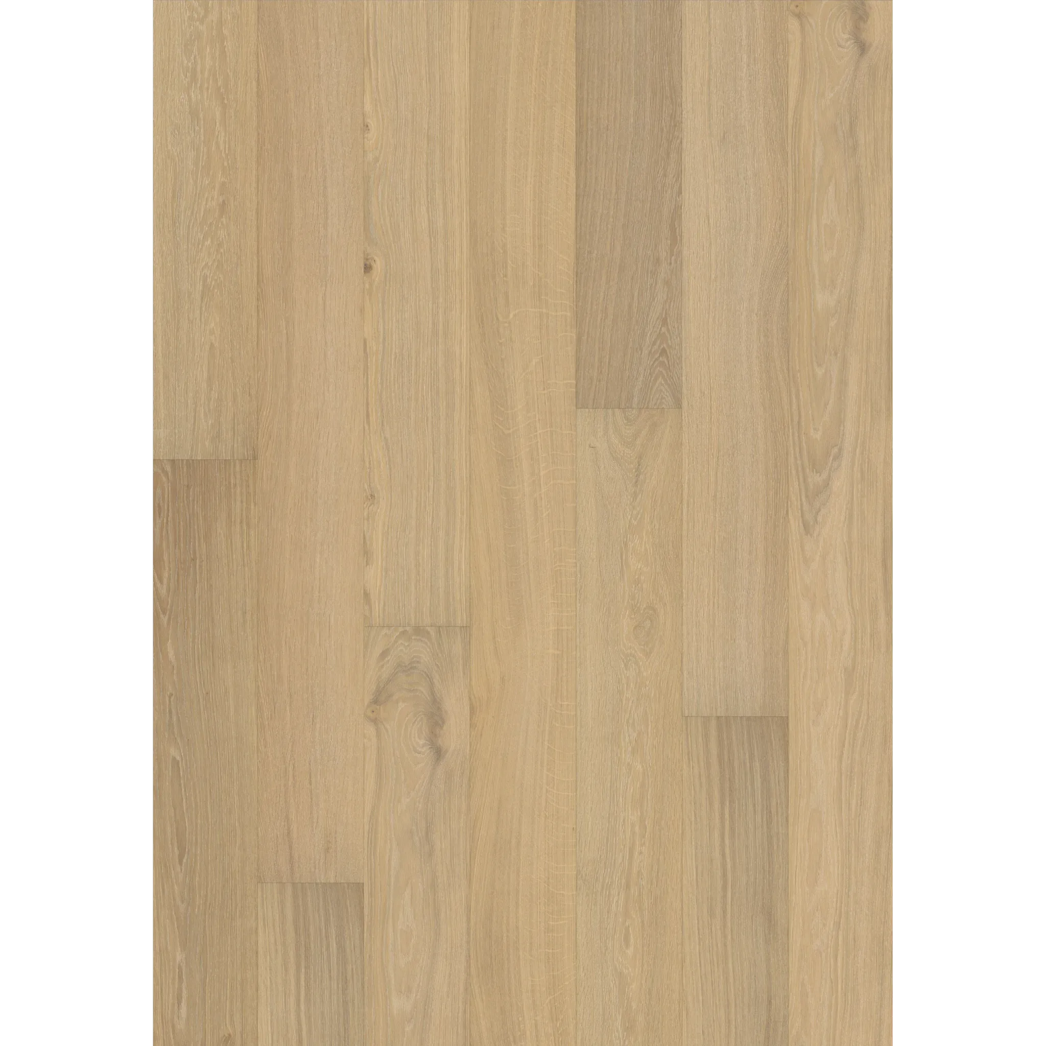 Oak Paris Ultra Matt