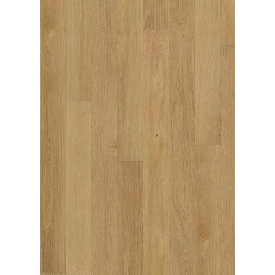 Oak Dublin Oiled