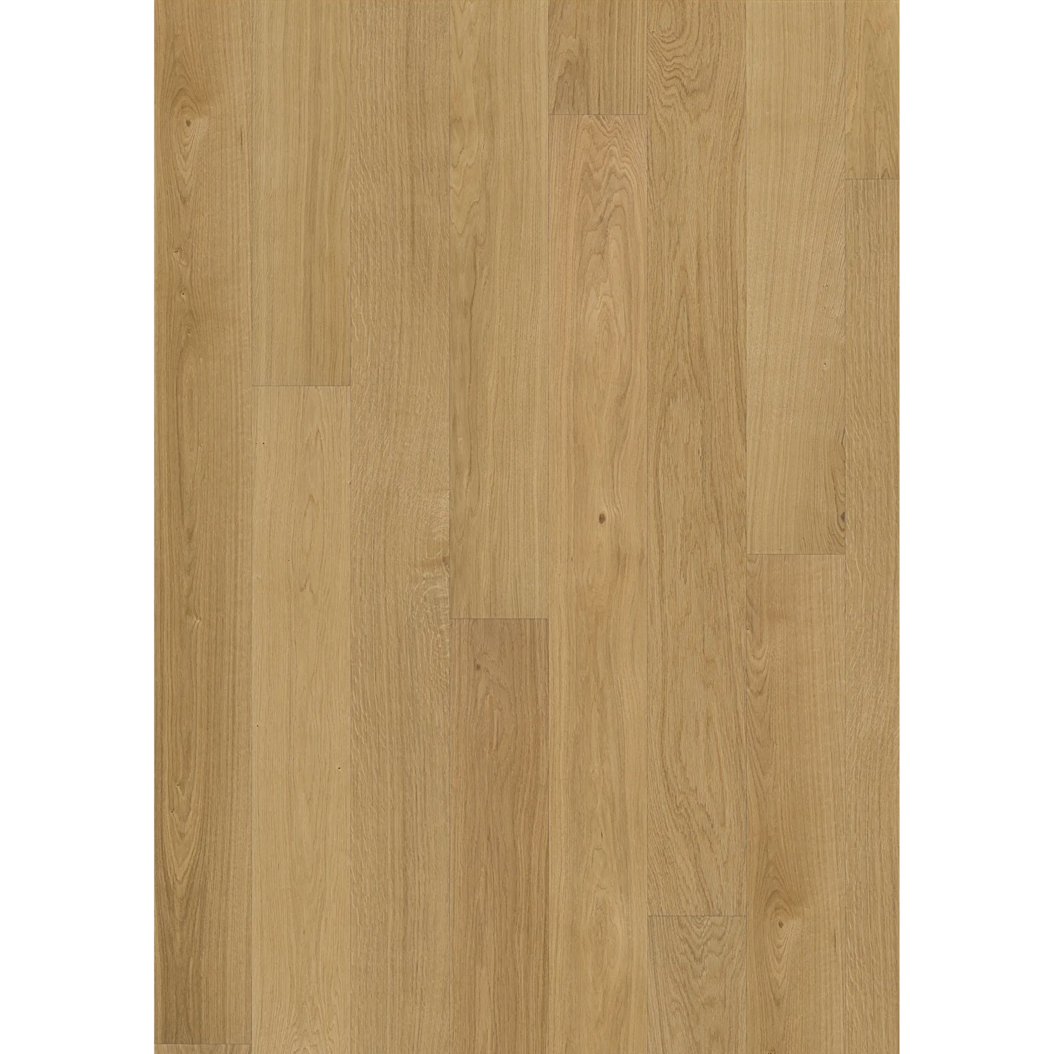 Oak Dublin Oiled