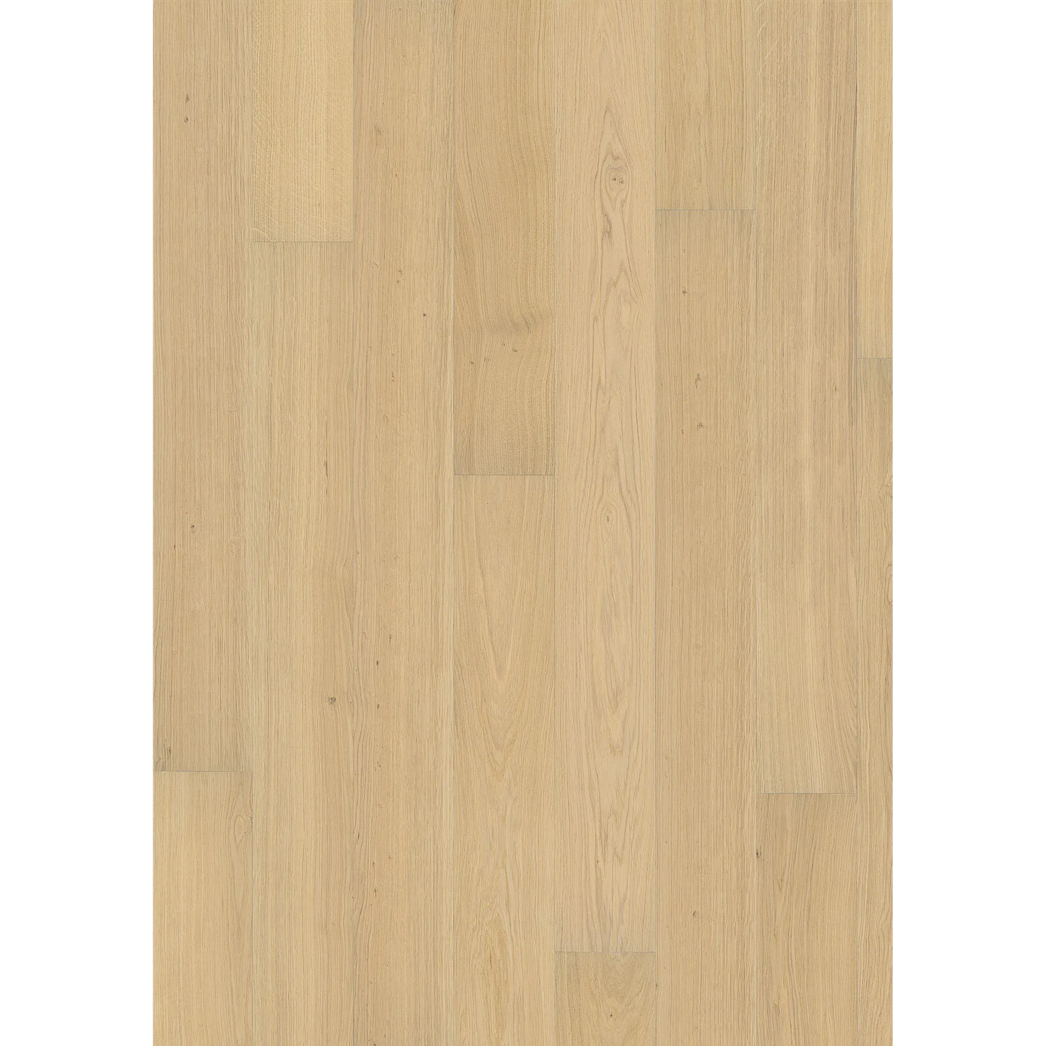 Oak Piazza Ab Dim White