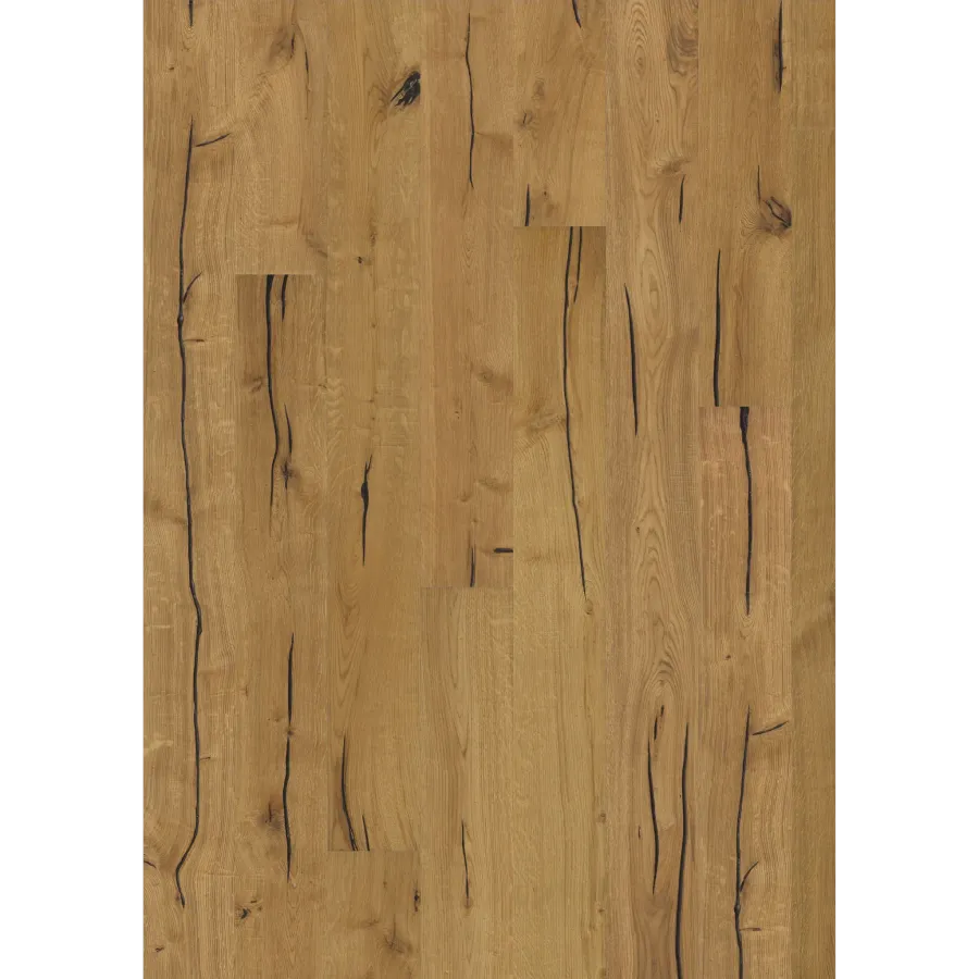 Oak Finnveden