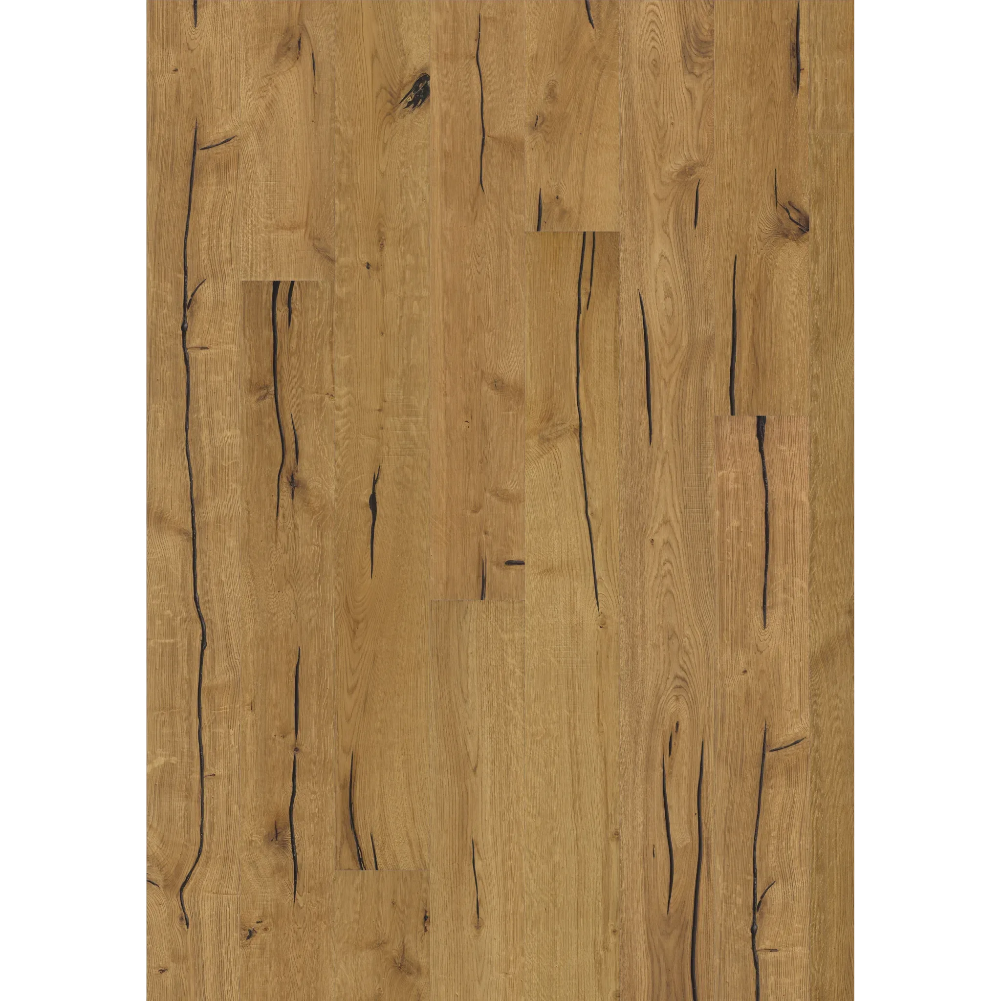 Oak Finnveden