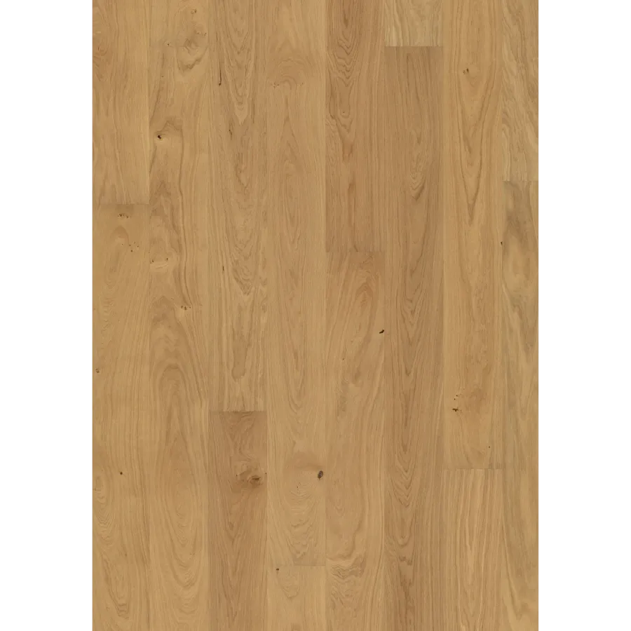 Oak Dahlia Oiled