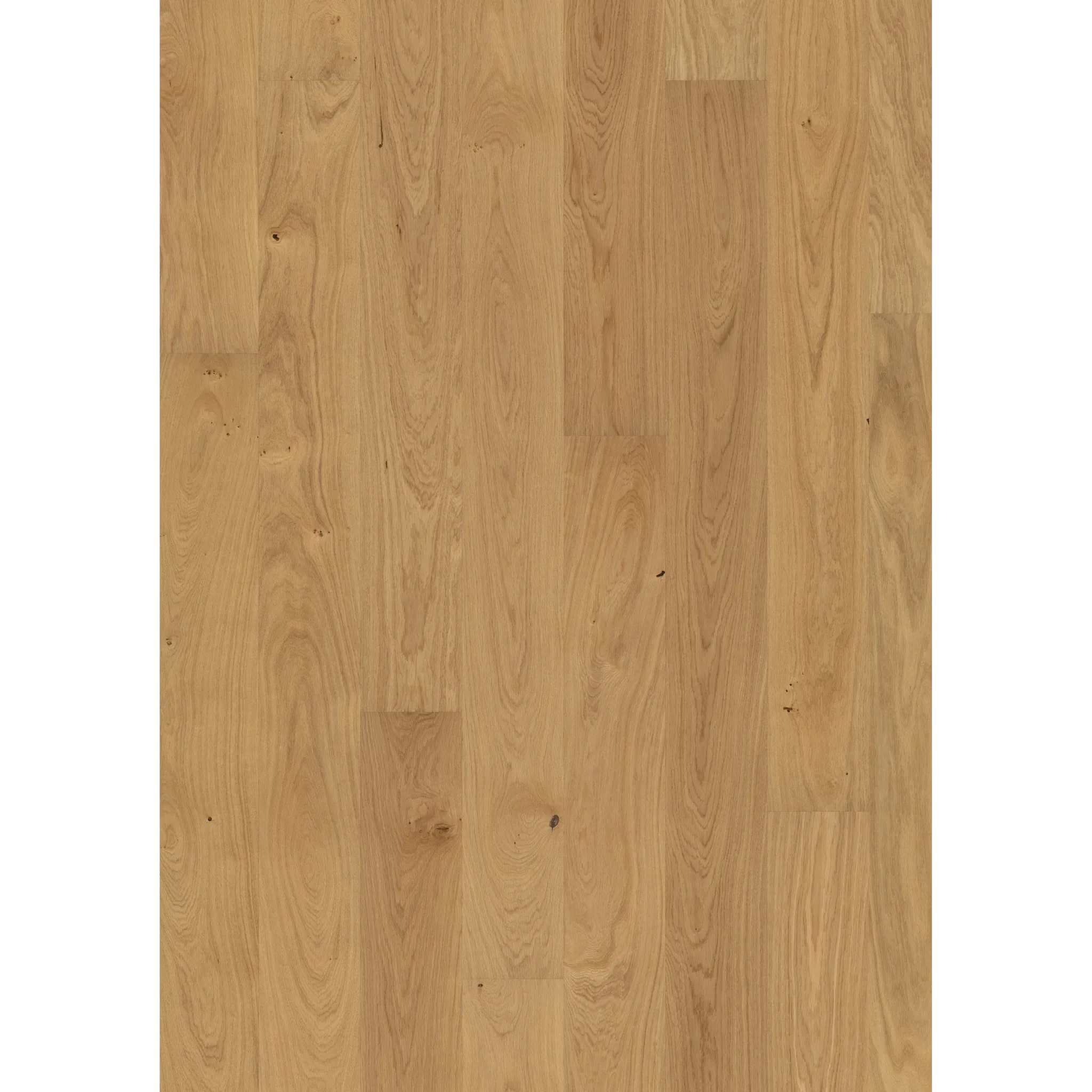 Oak Dahlia Oiled