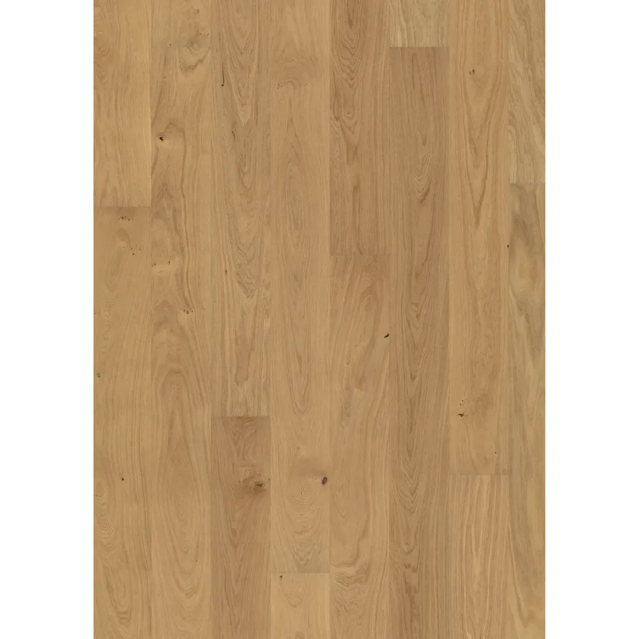 Oak Dahlia Matt