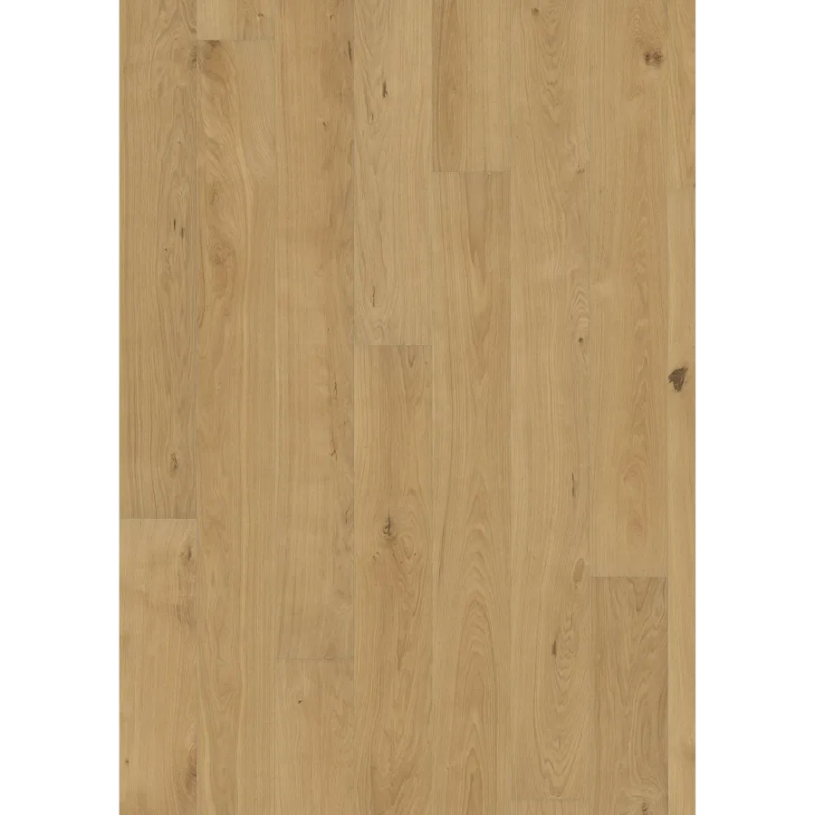 Oak Piazza Cd Matt