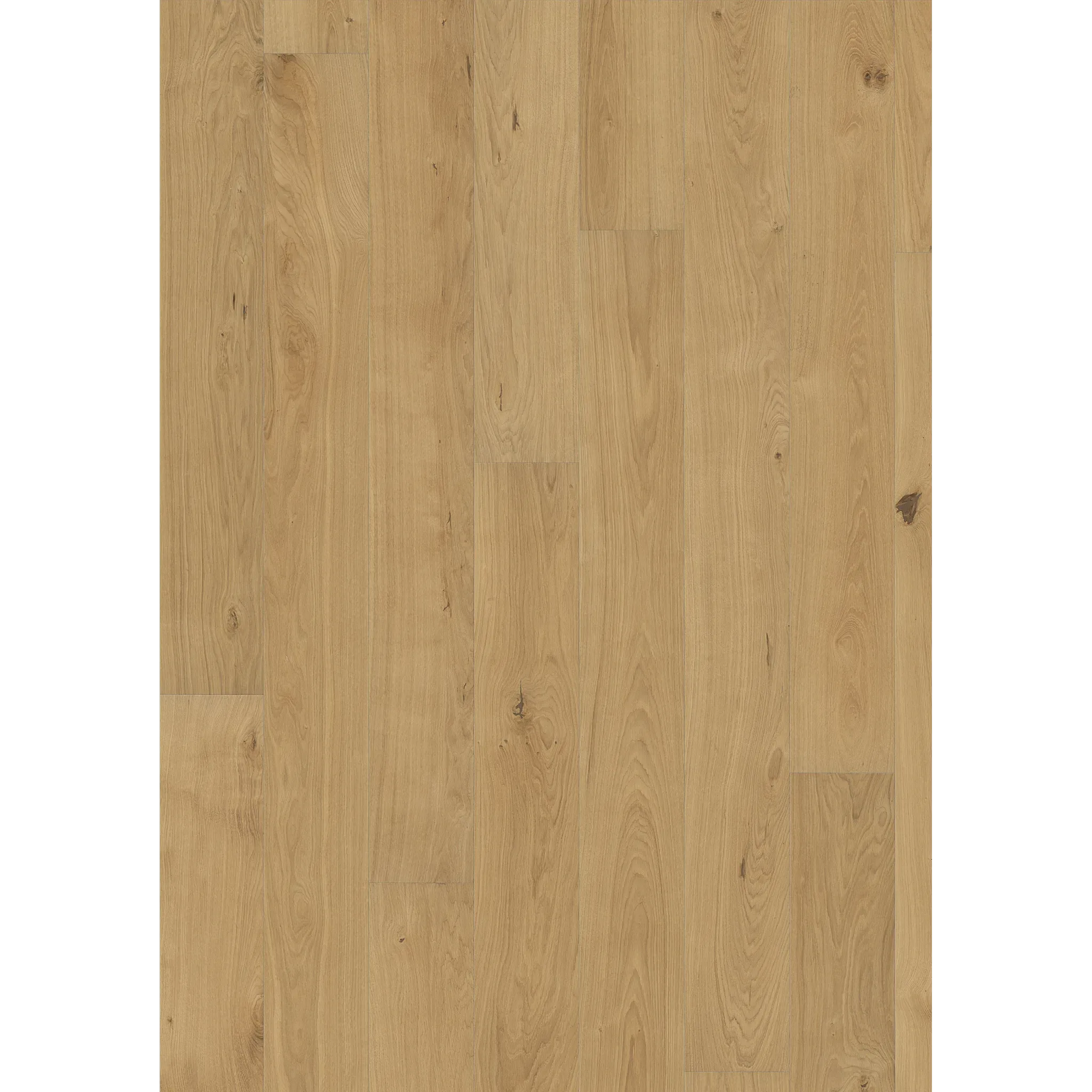 Oak Piazza Cd Matt