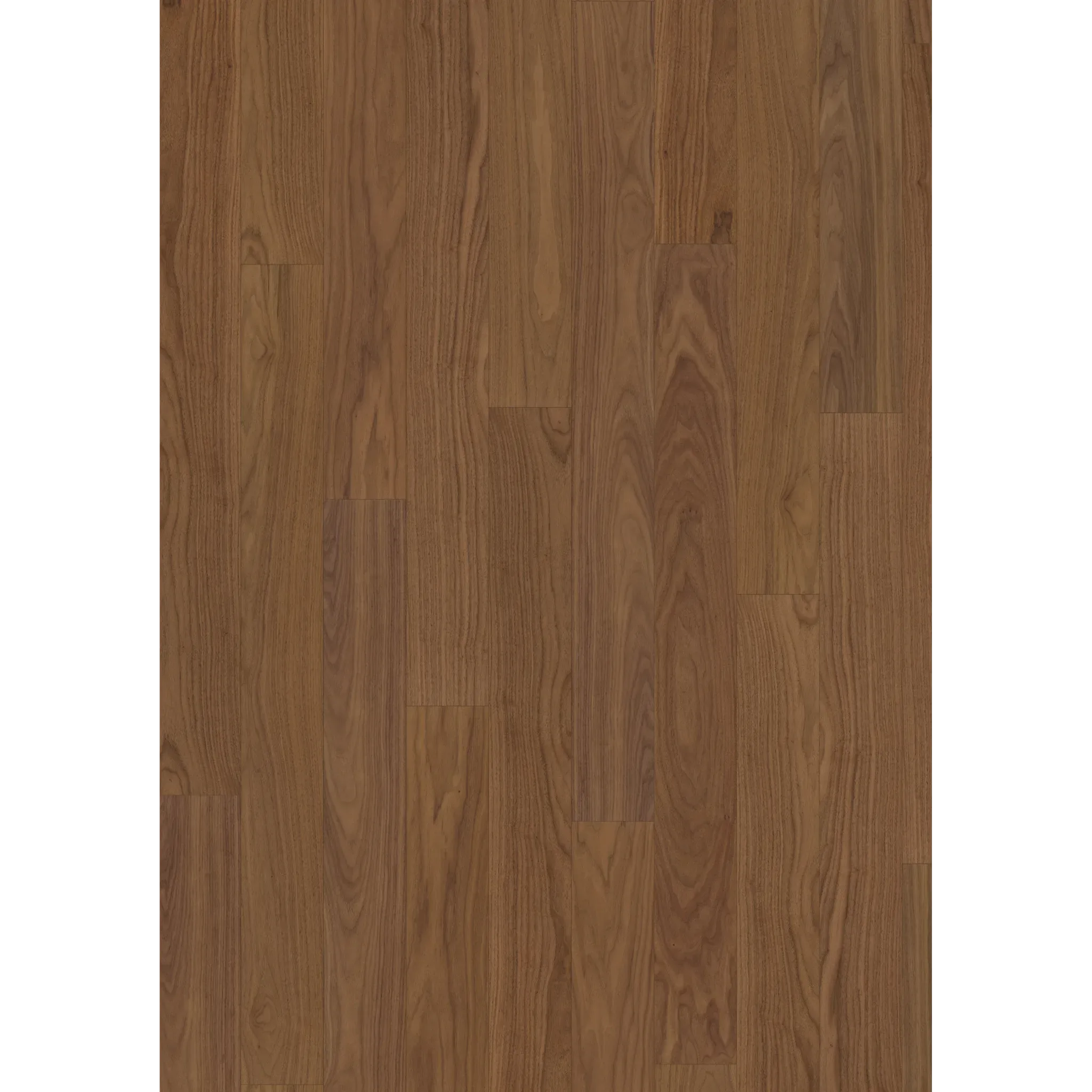 Walnut Coriander Plank