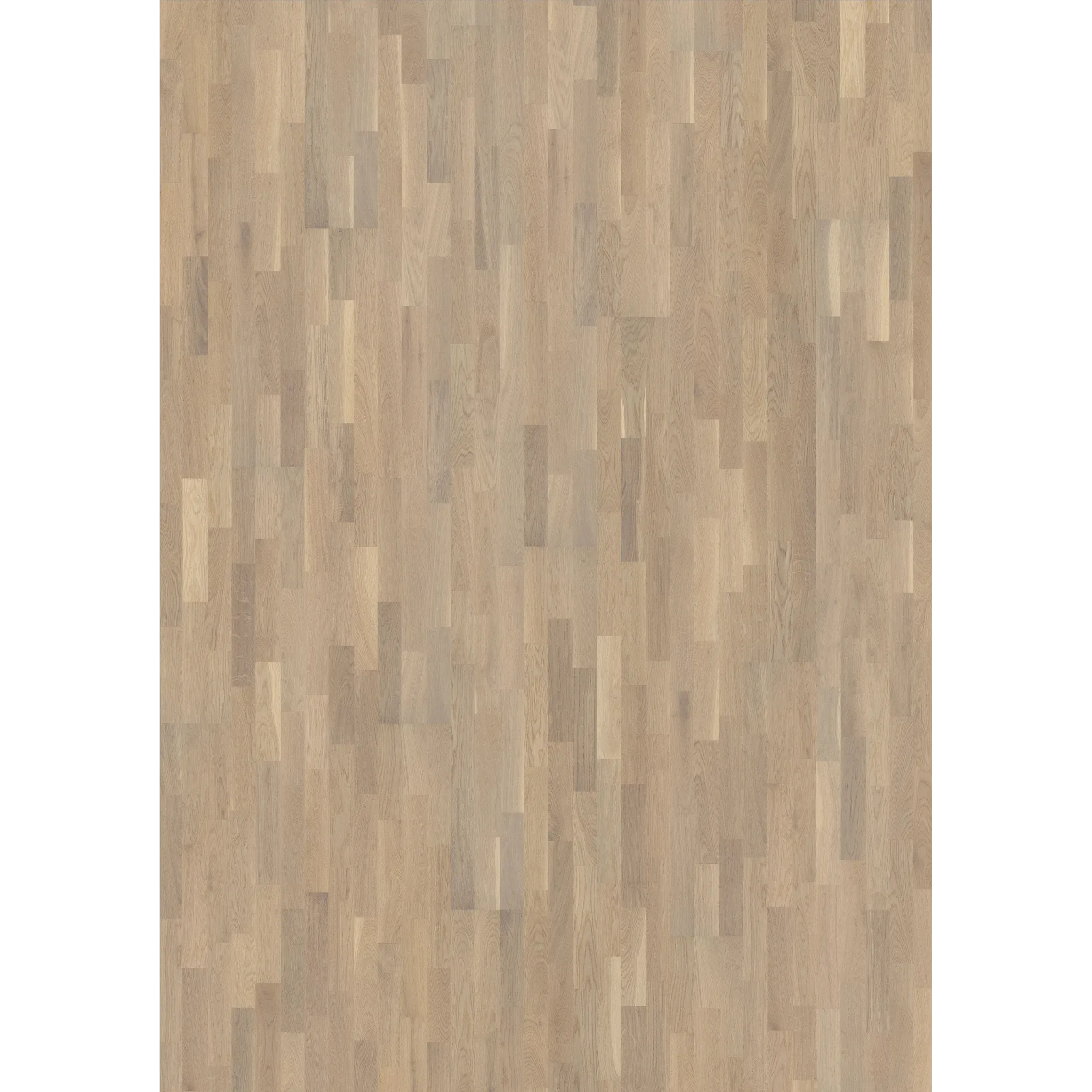 Oak Abetone Matt