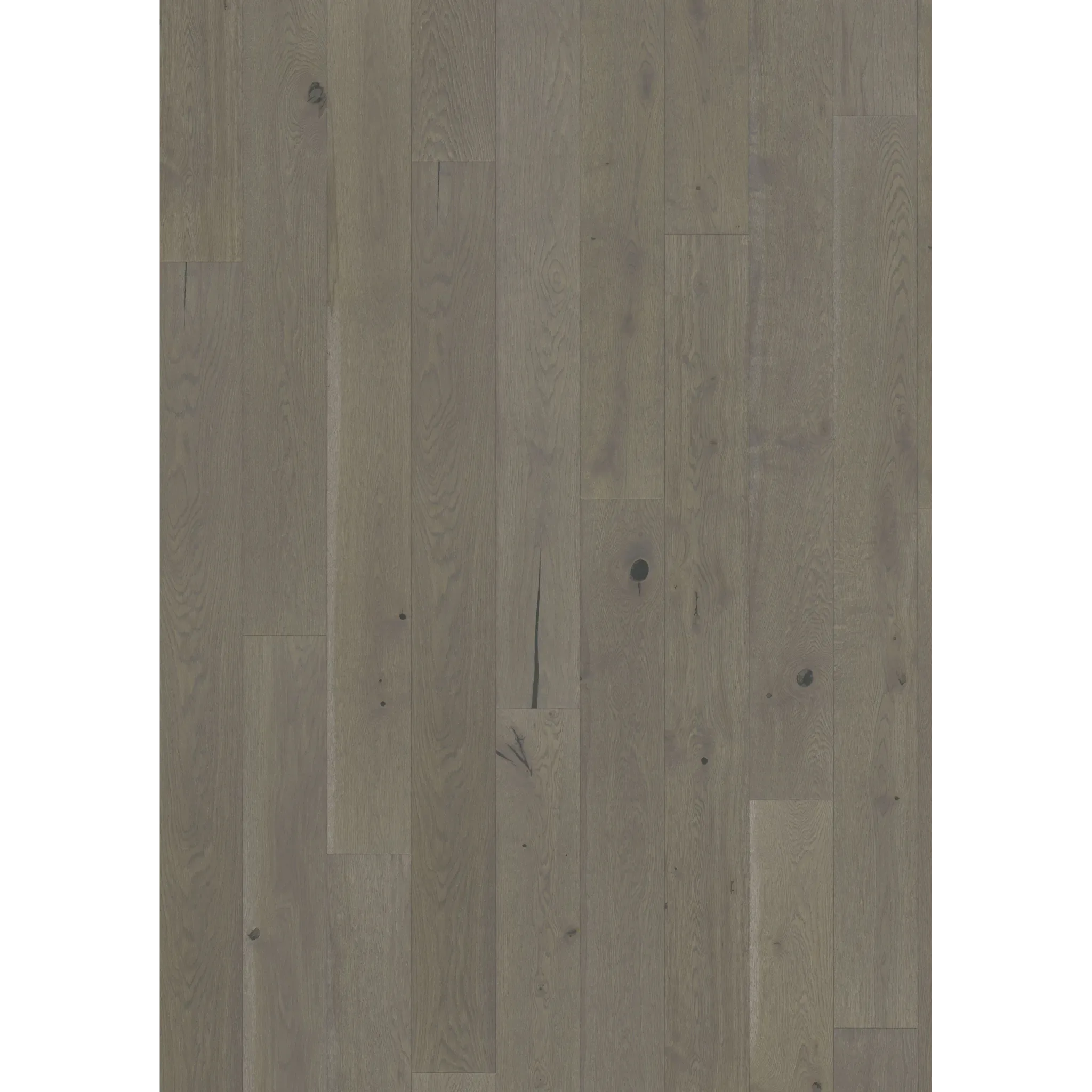 Oak Pearl Grey Plank