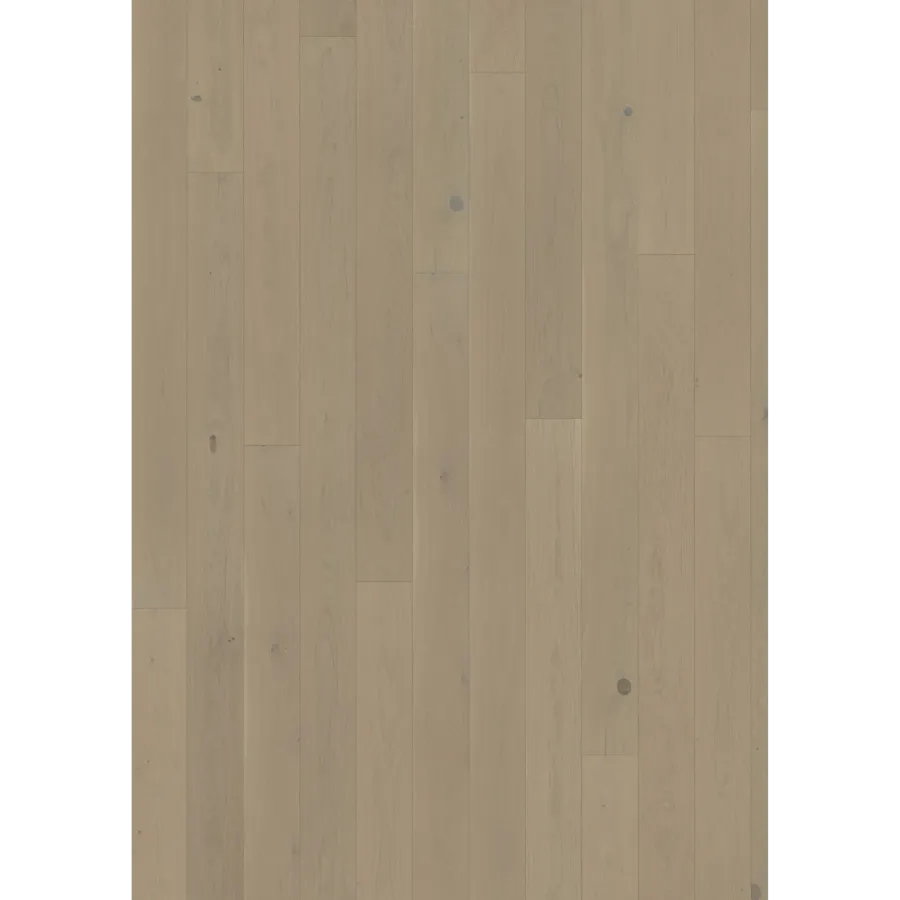 Oak Crayon