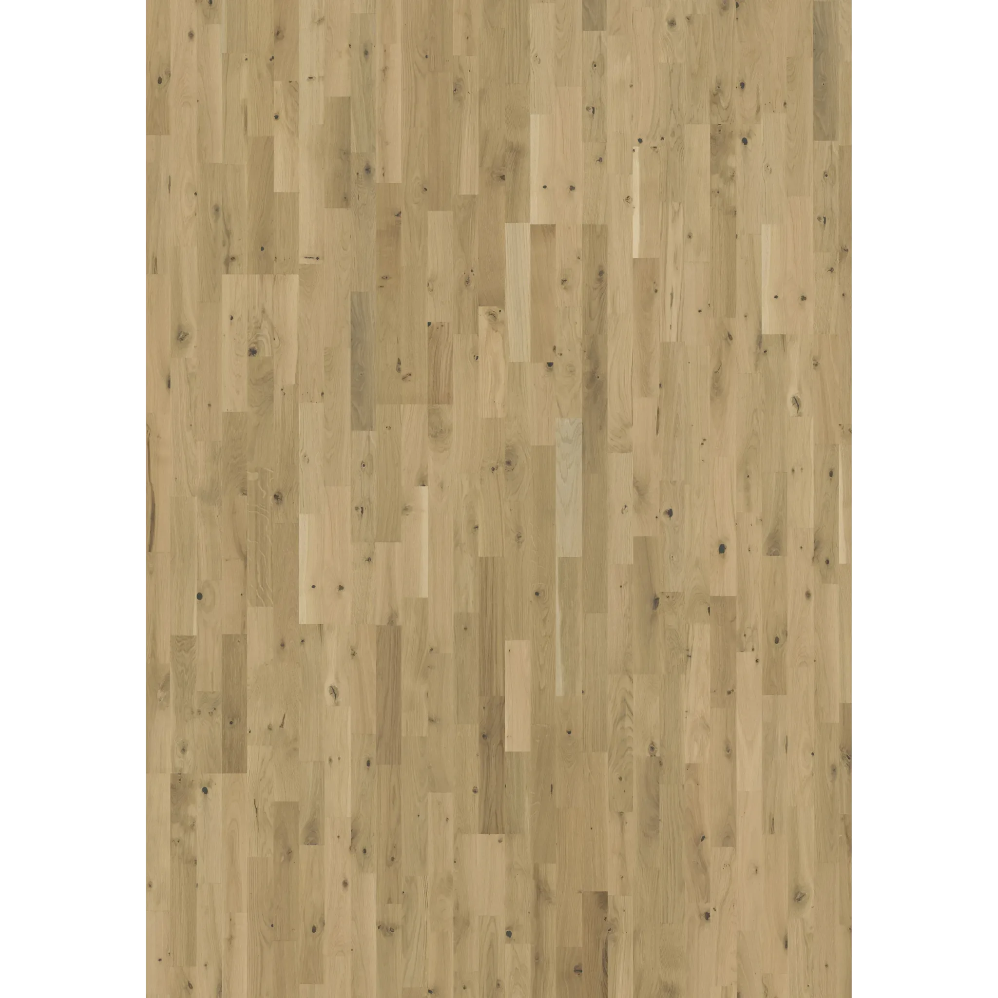 Oak Urban Brown Strip