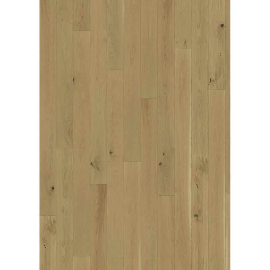 Oak Biscotti