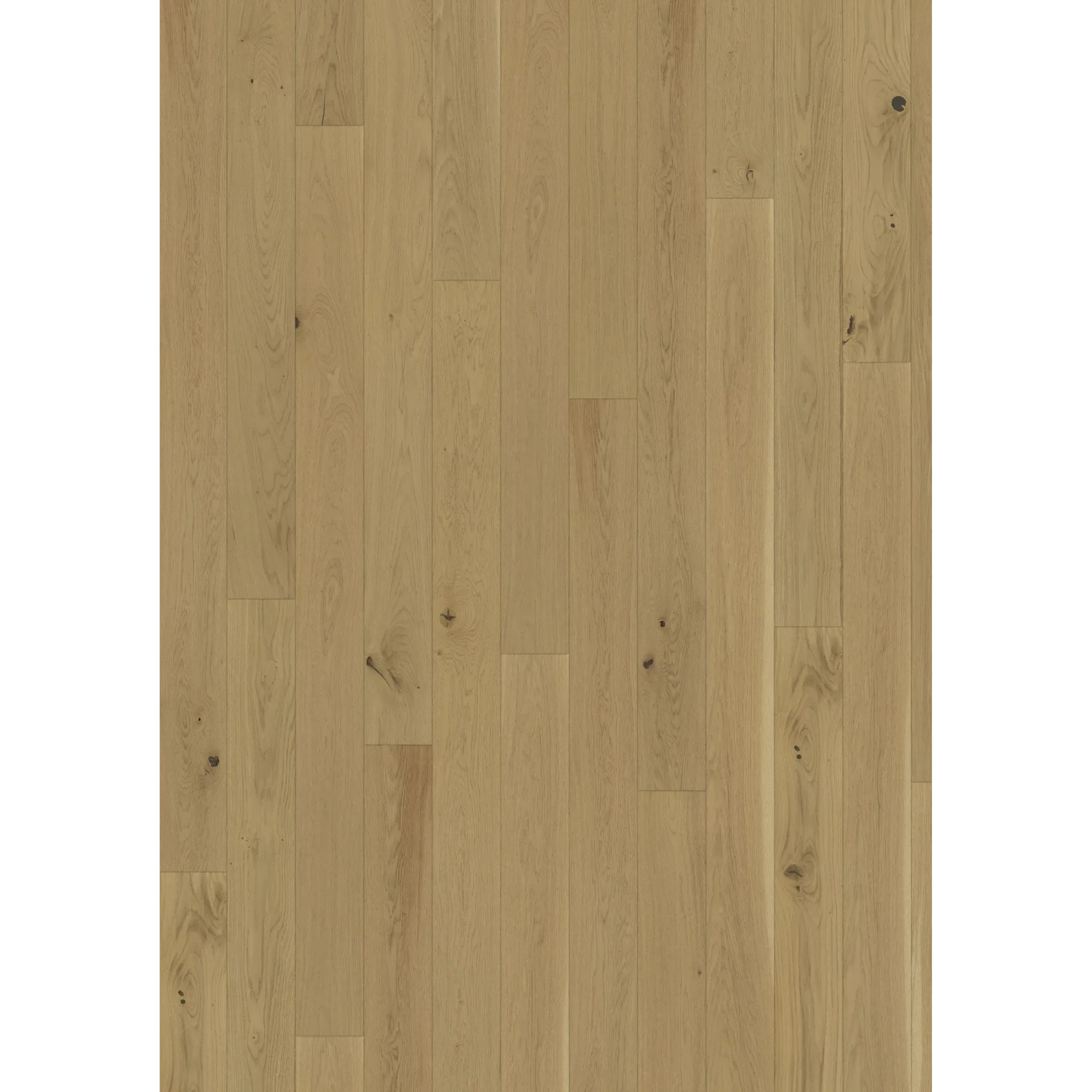 Oak Biscotti