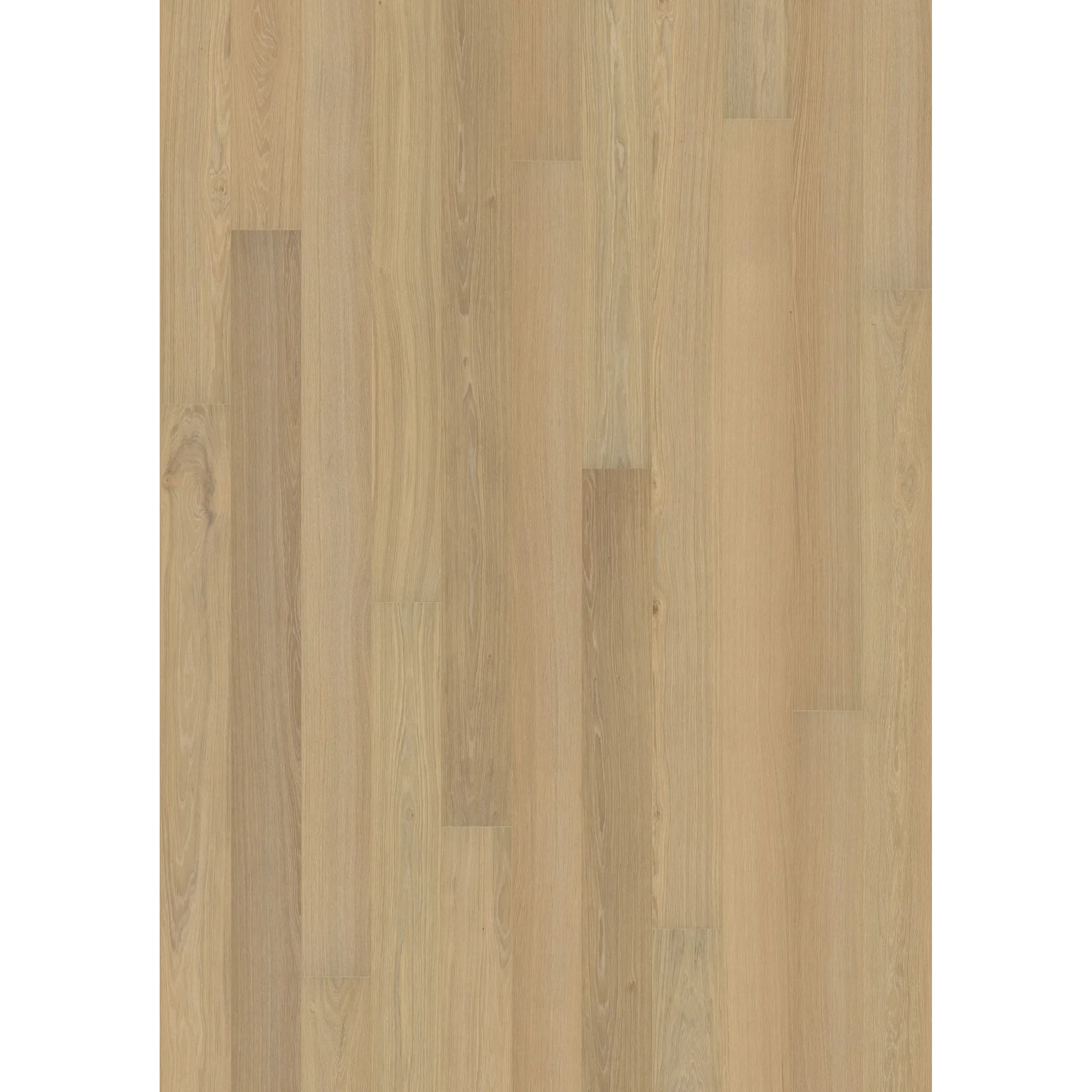 Oak Paris Ultra Matt Narrow