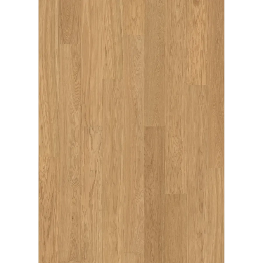 Oak Nutmeg Plank