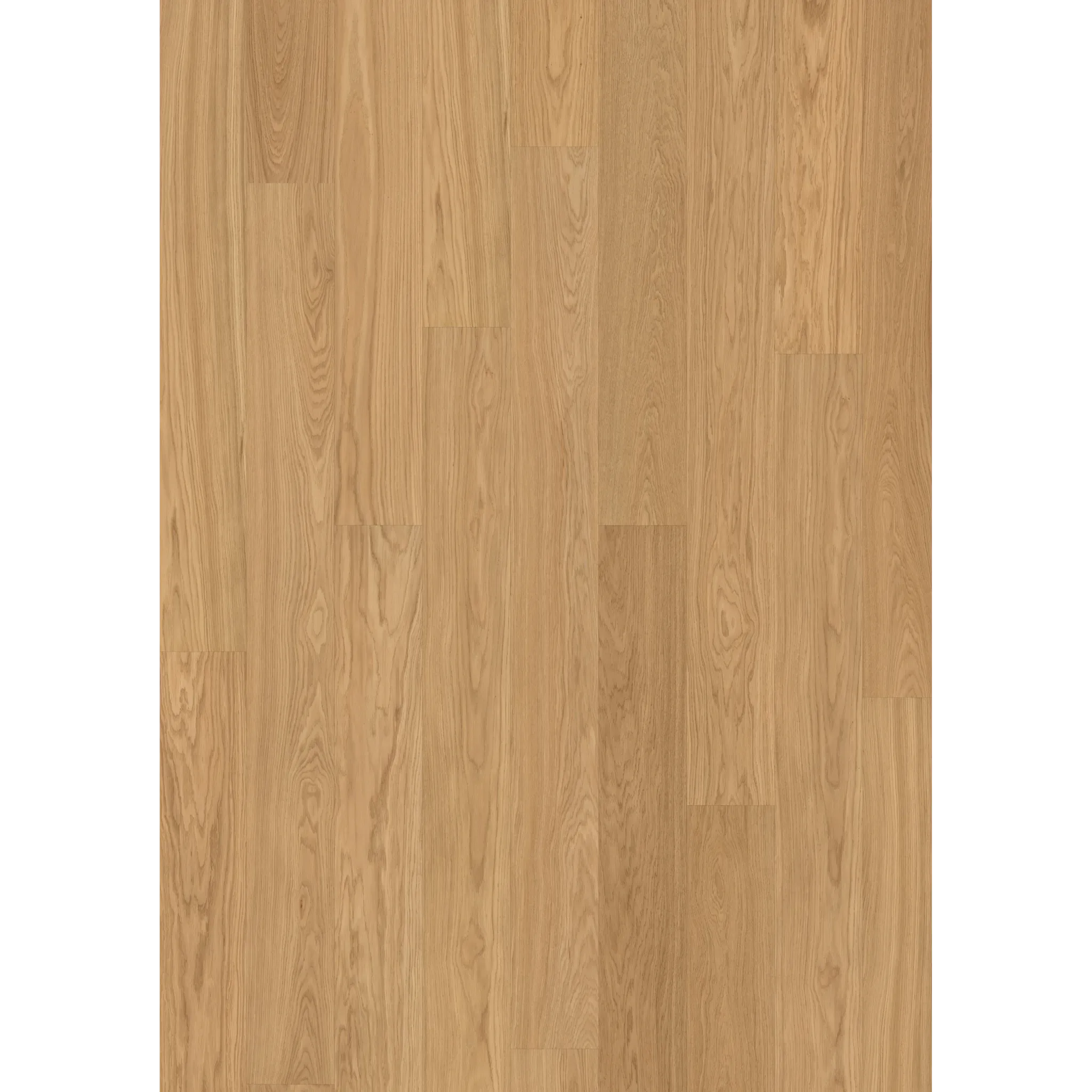 Oak Nutmeg Plank