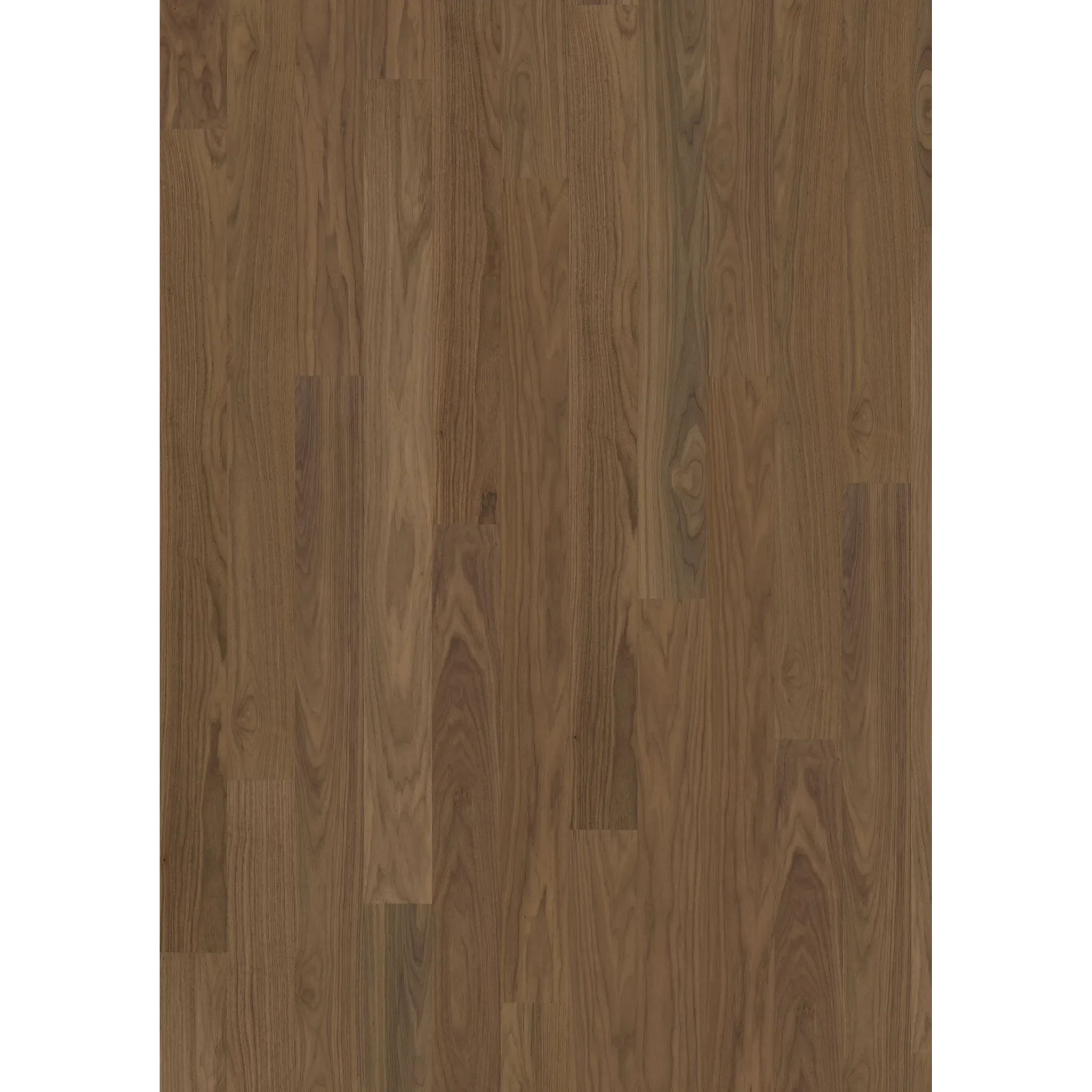 Pure Walnut Wide