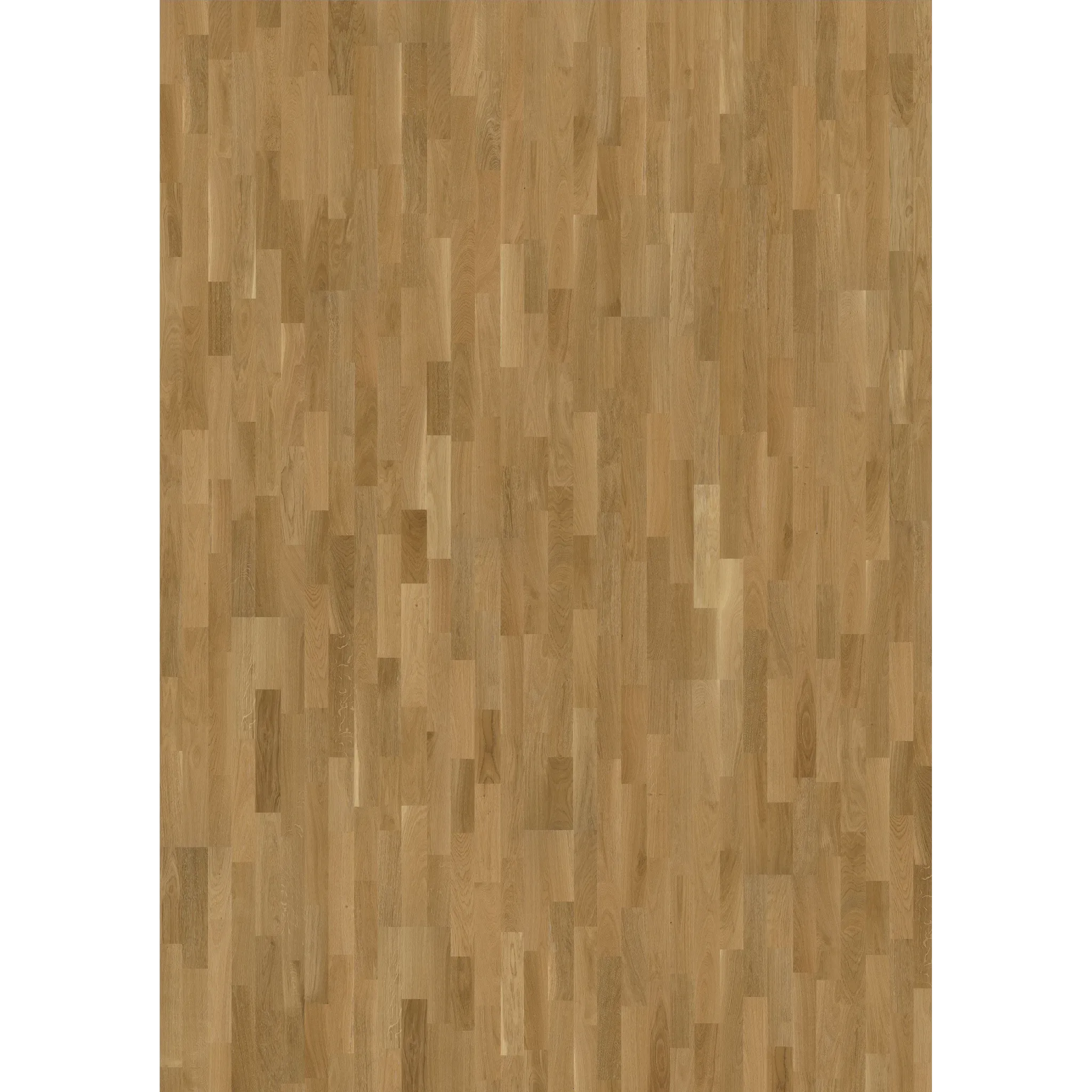 Oak Lecco Matt