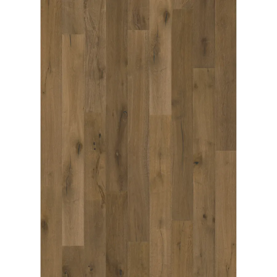 Oak Terrano
