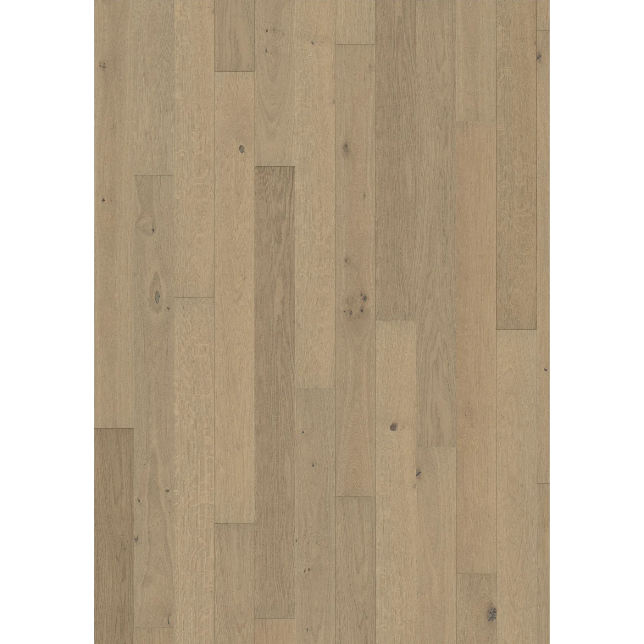 Oak Nouveau White