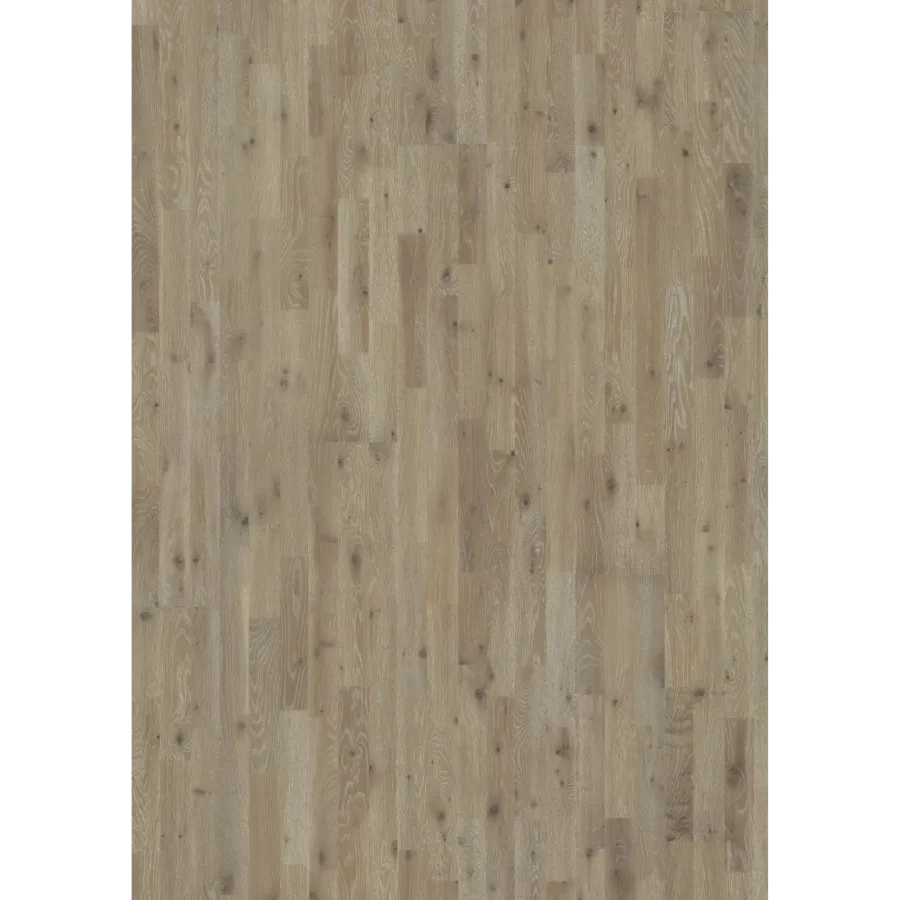 Oak Vinga