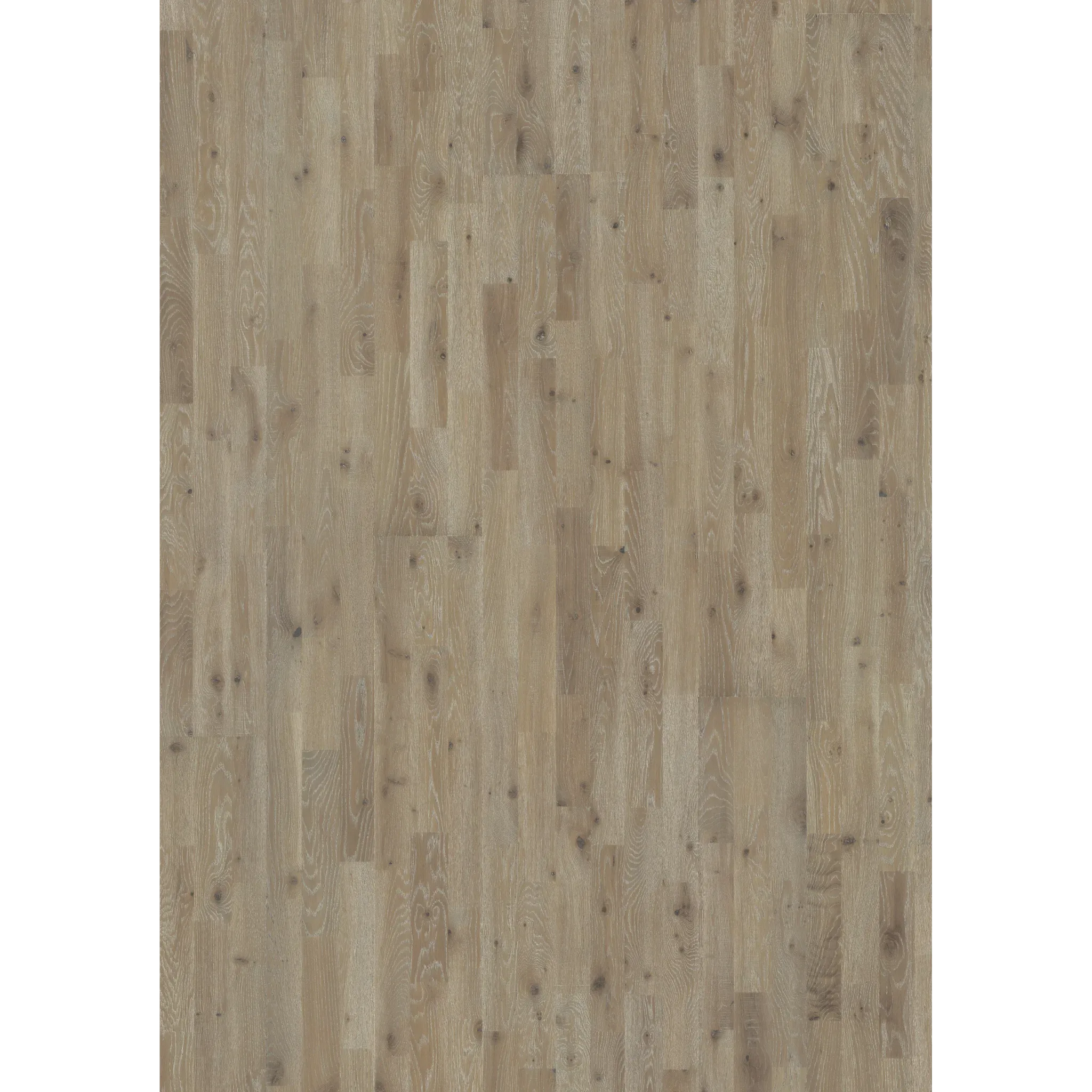 Oak Vinga