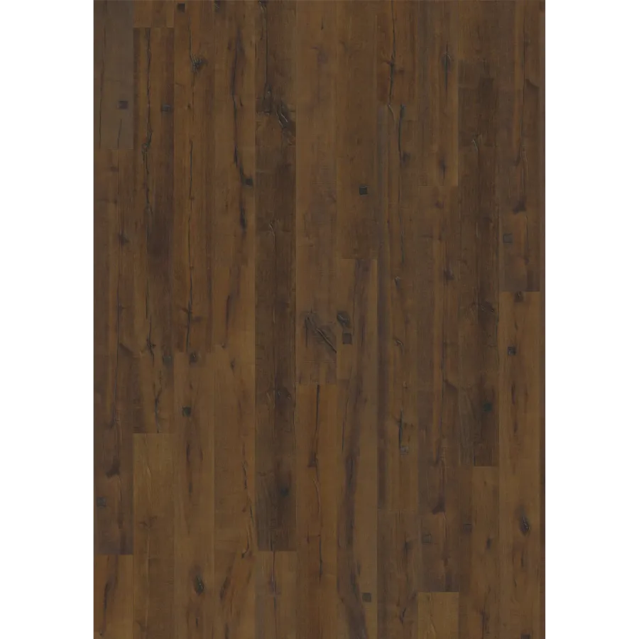 Oak Sparuto