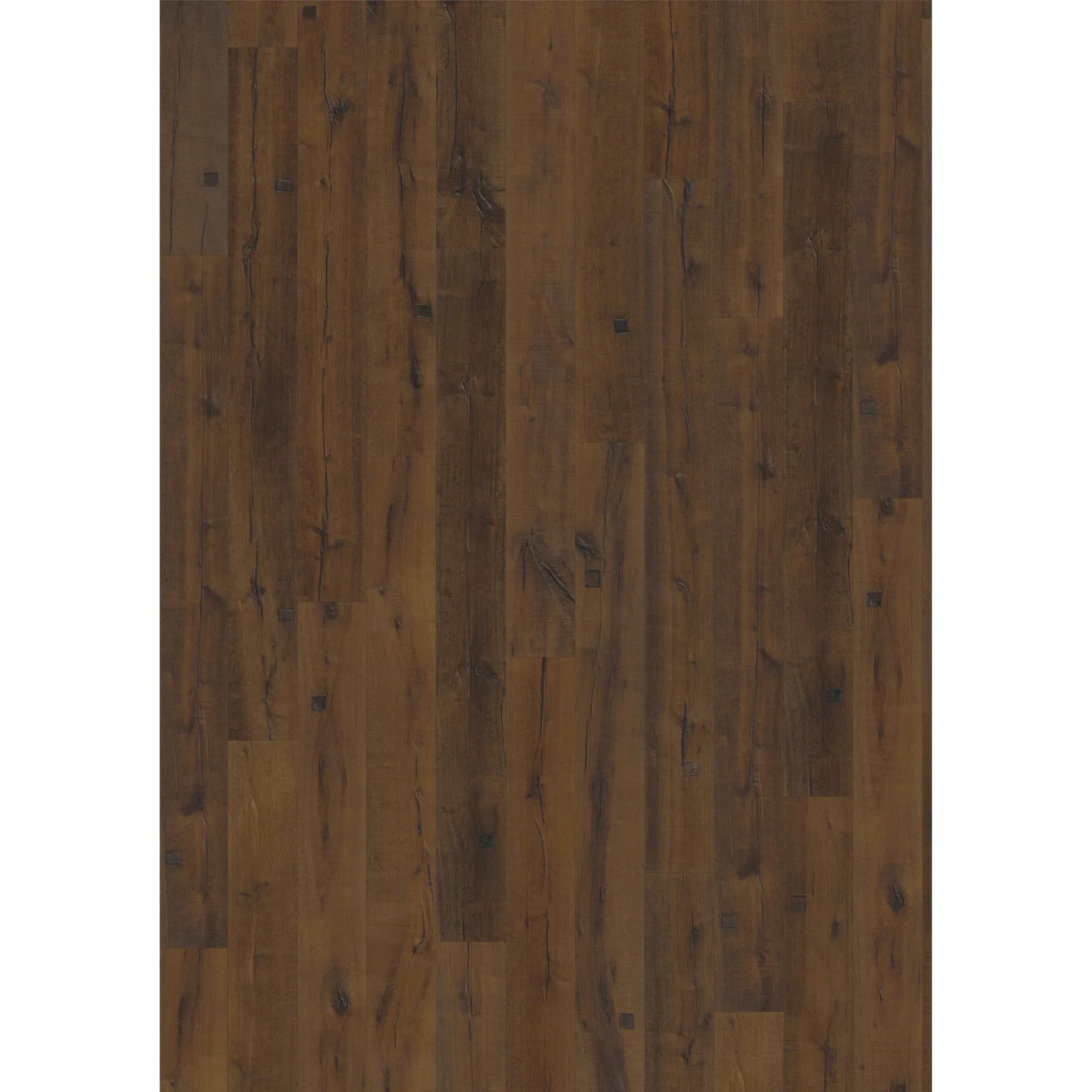 Oak Sparuto