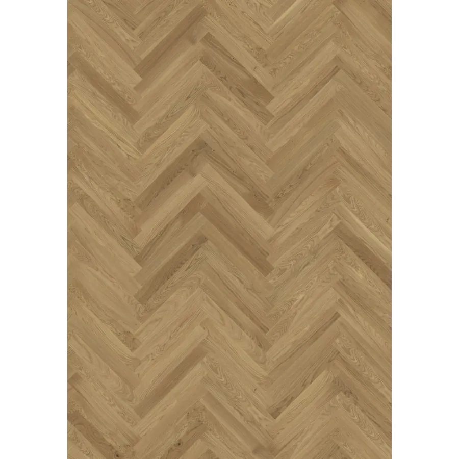 Oak Studio Cd Hb Oiled