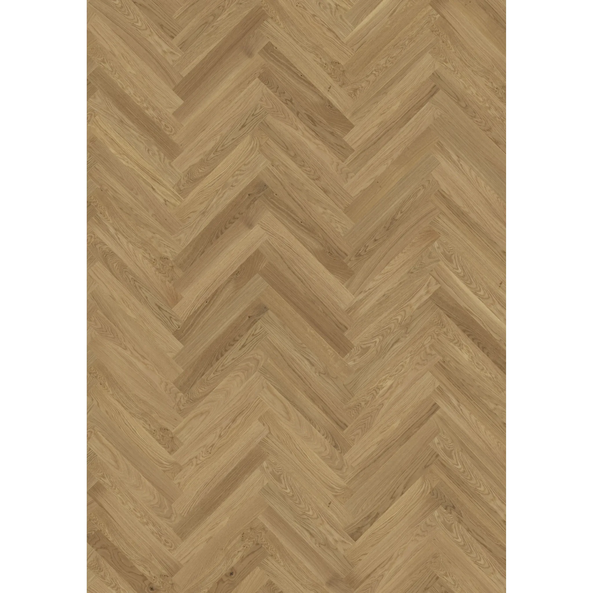 Oak Studio Cd Hb Oiled