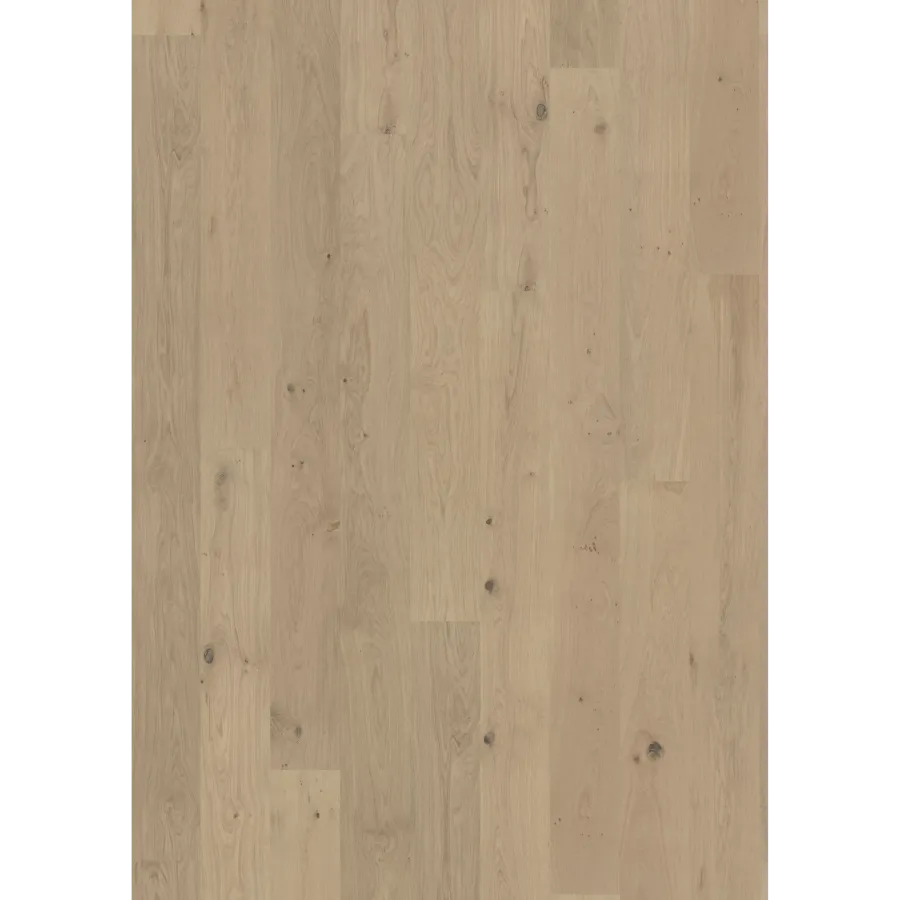 Oak Brighton