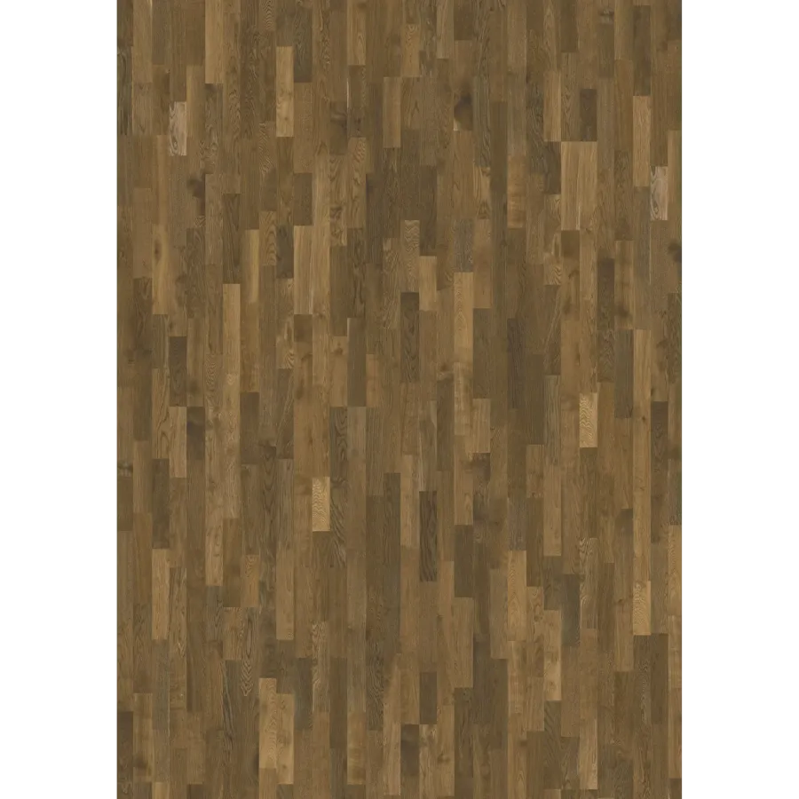 Oak Dusk