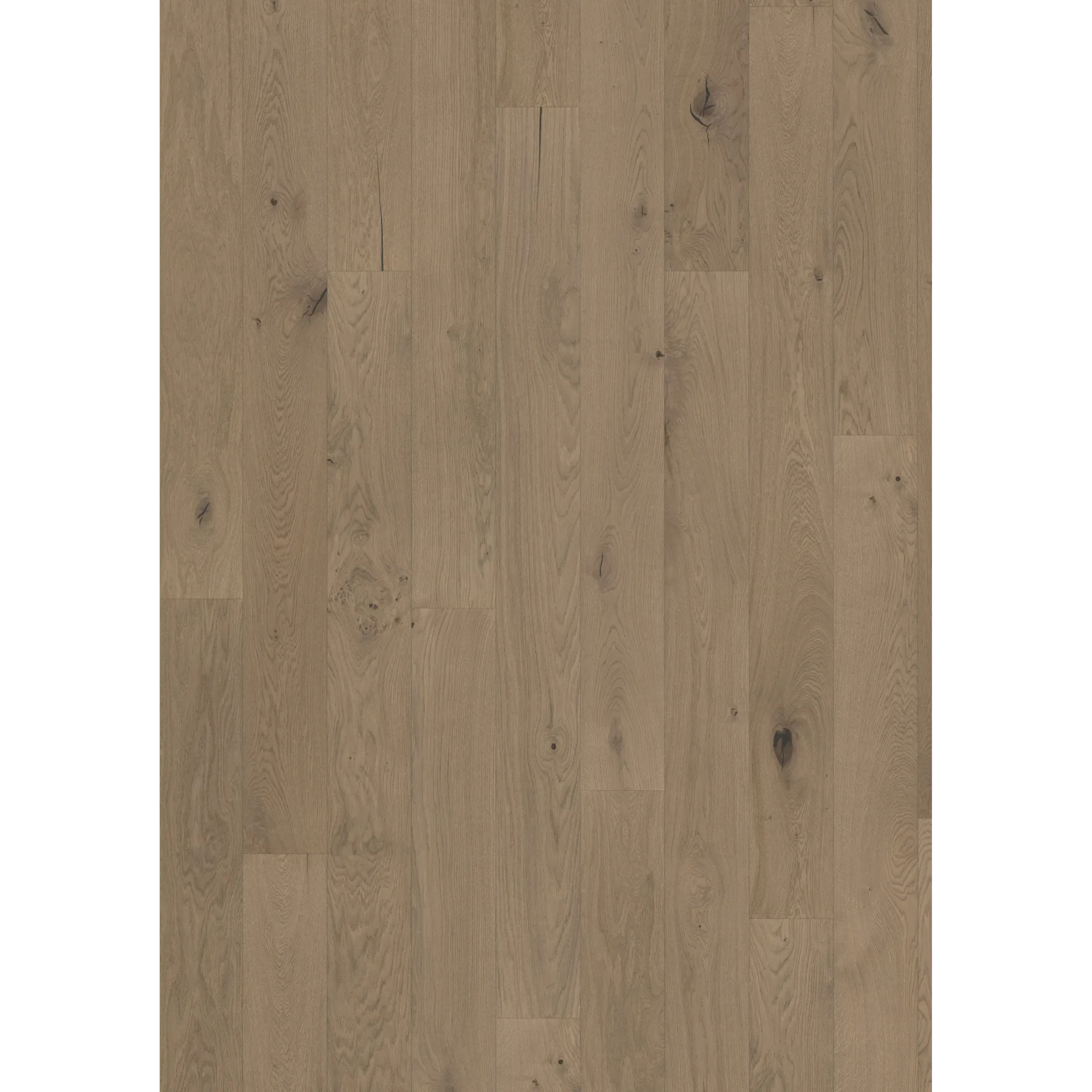 Oak Frozen Hazelnut Plank