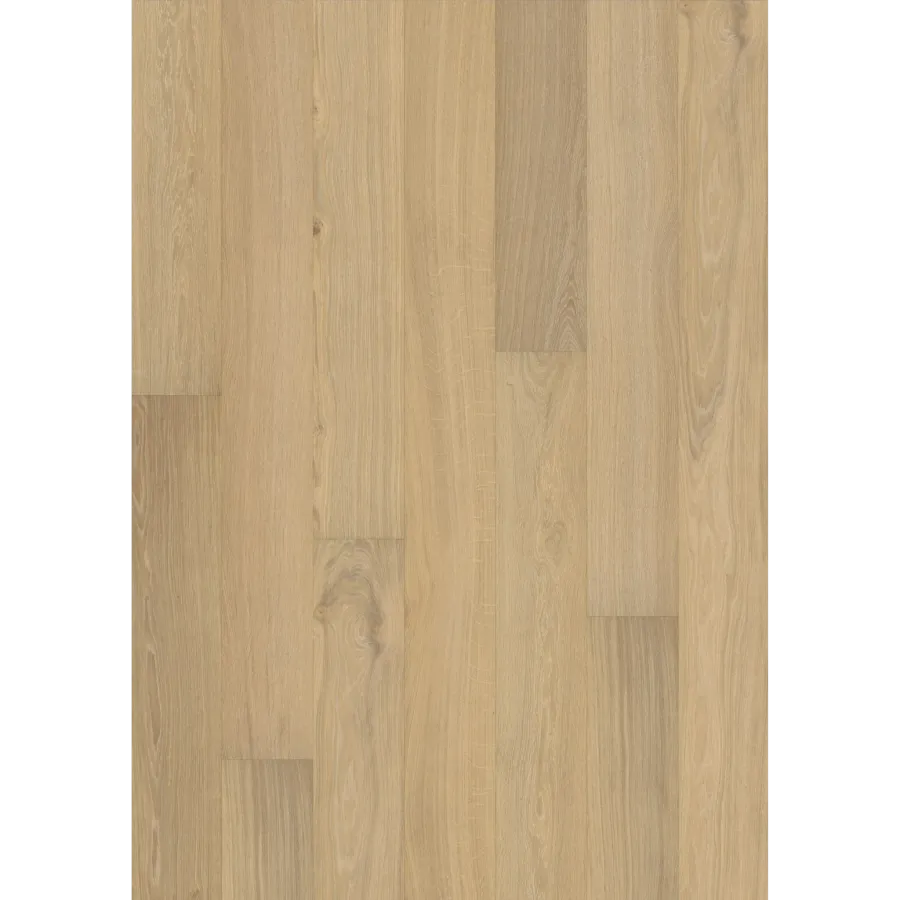 Oak Paris Oiled