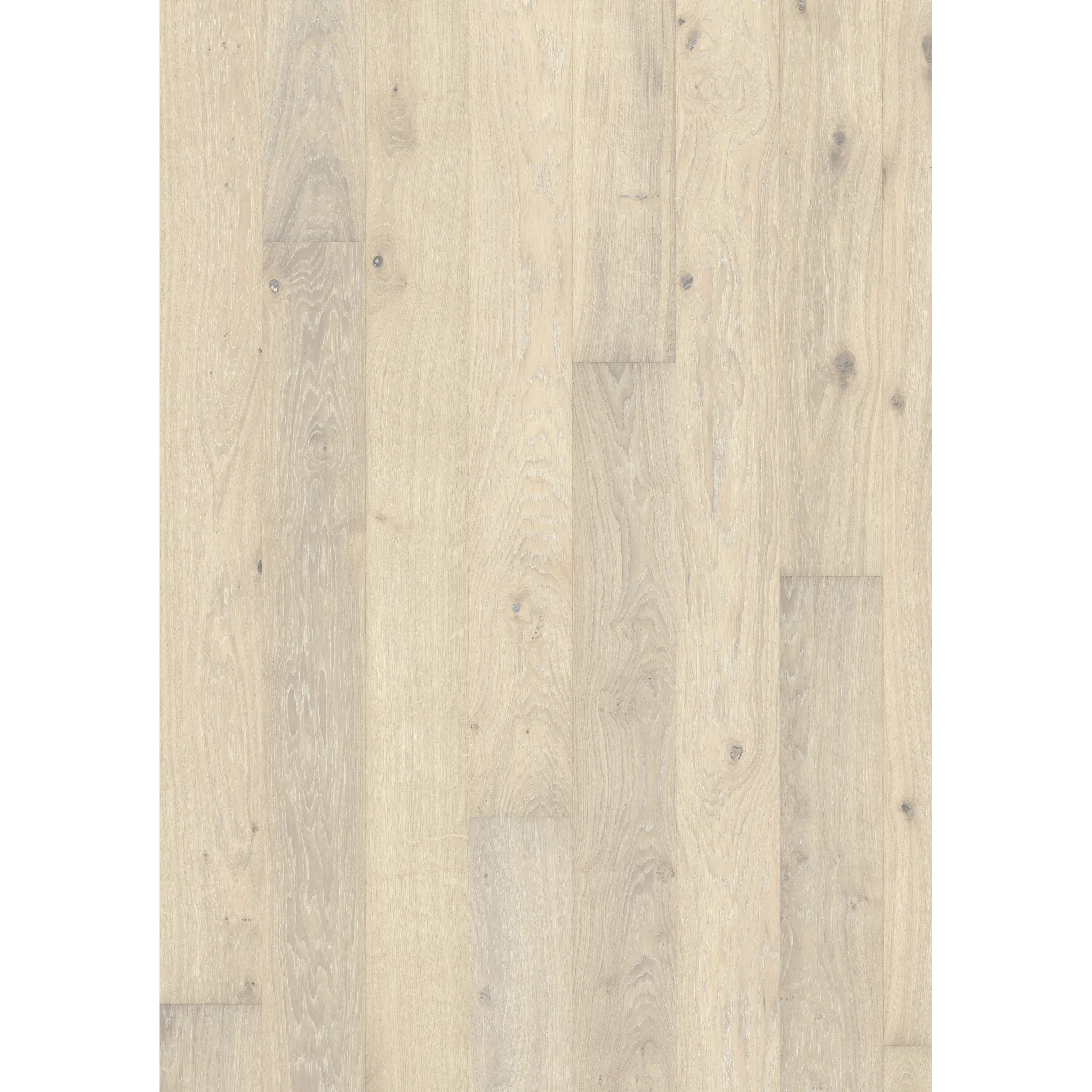 Oak Nouveau Blonde