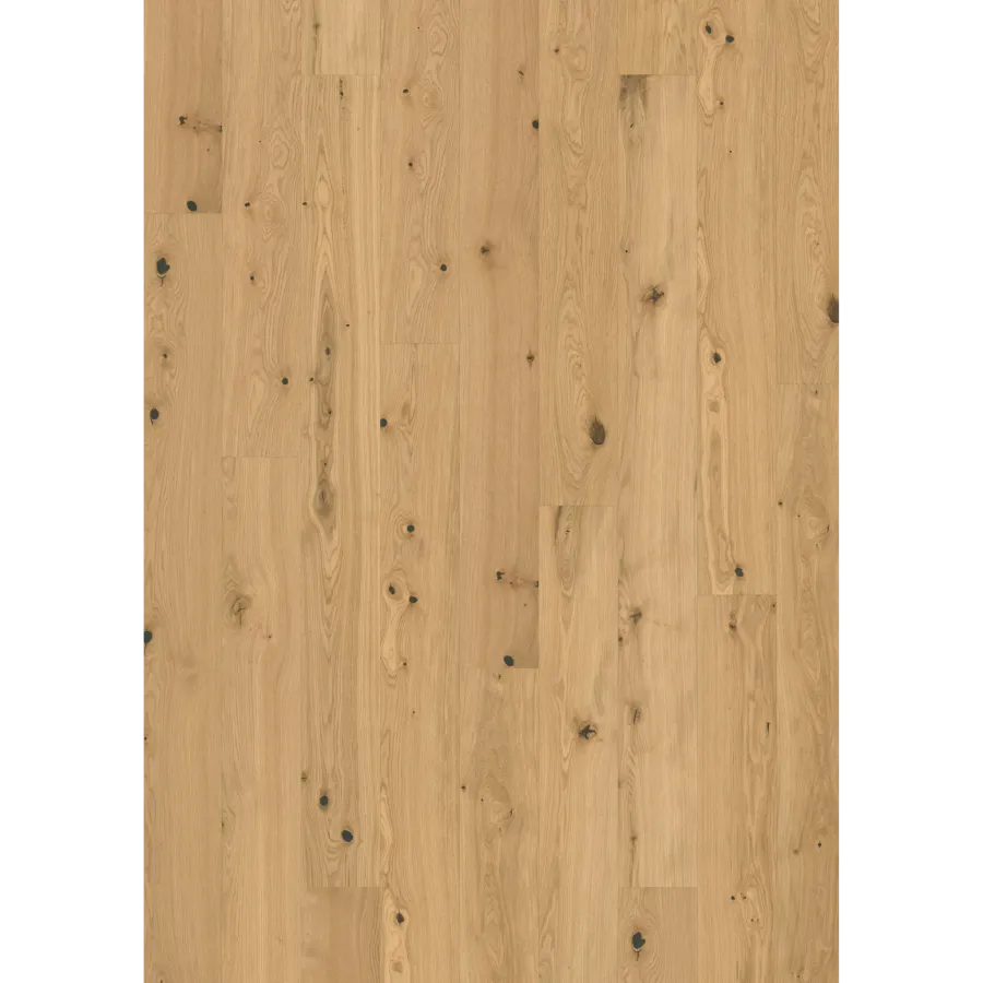 Oak Fennel Plank