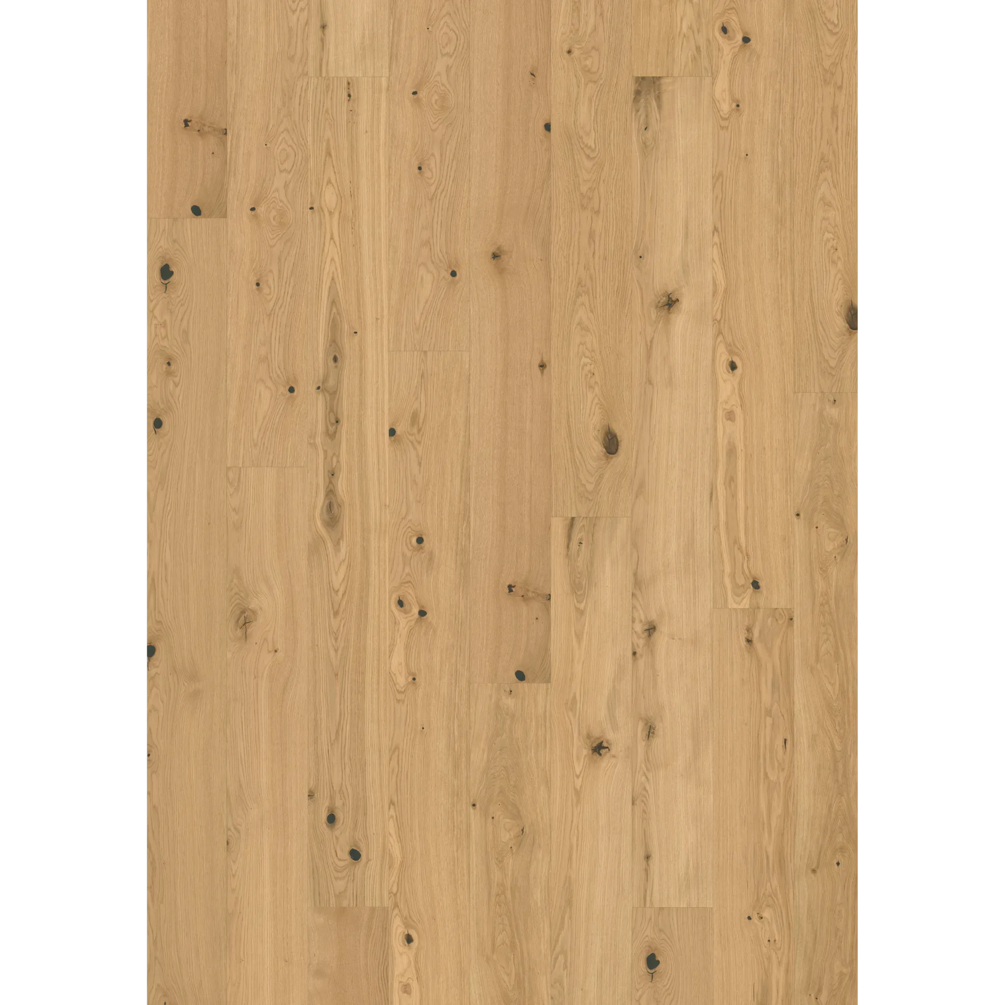 Oak Fennel Plank