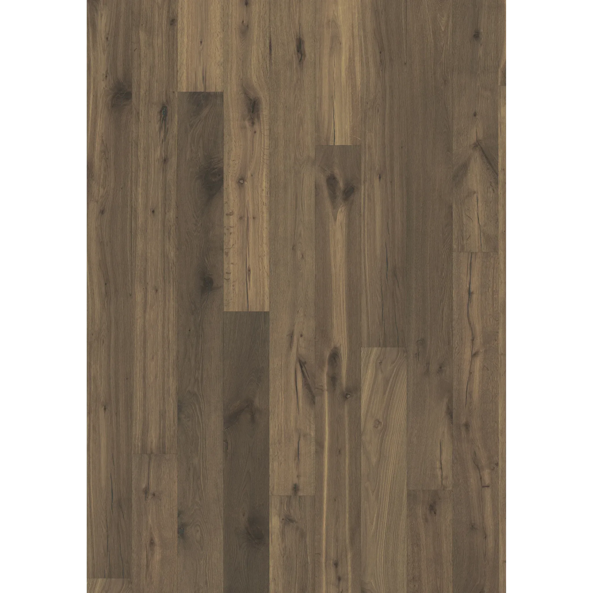 Oak Ombra