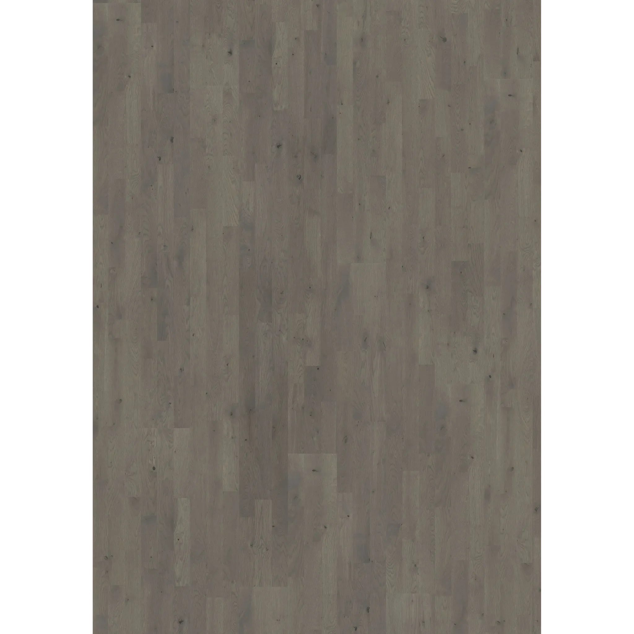 Oak Pearl Grey Strip