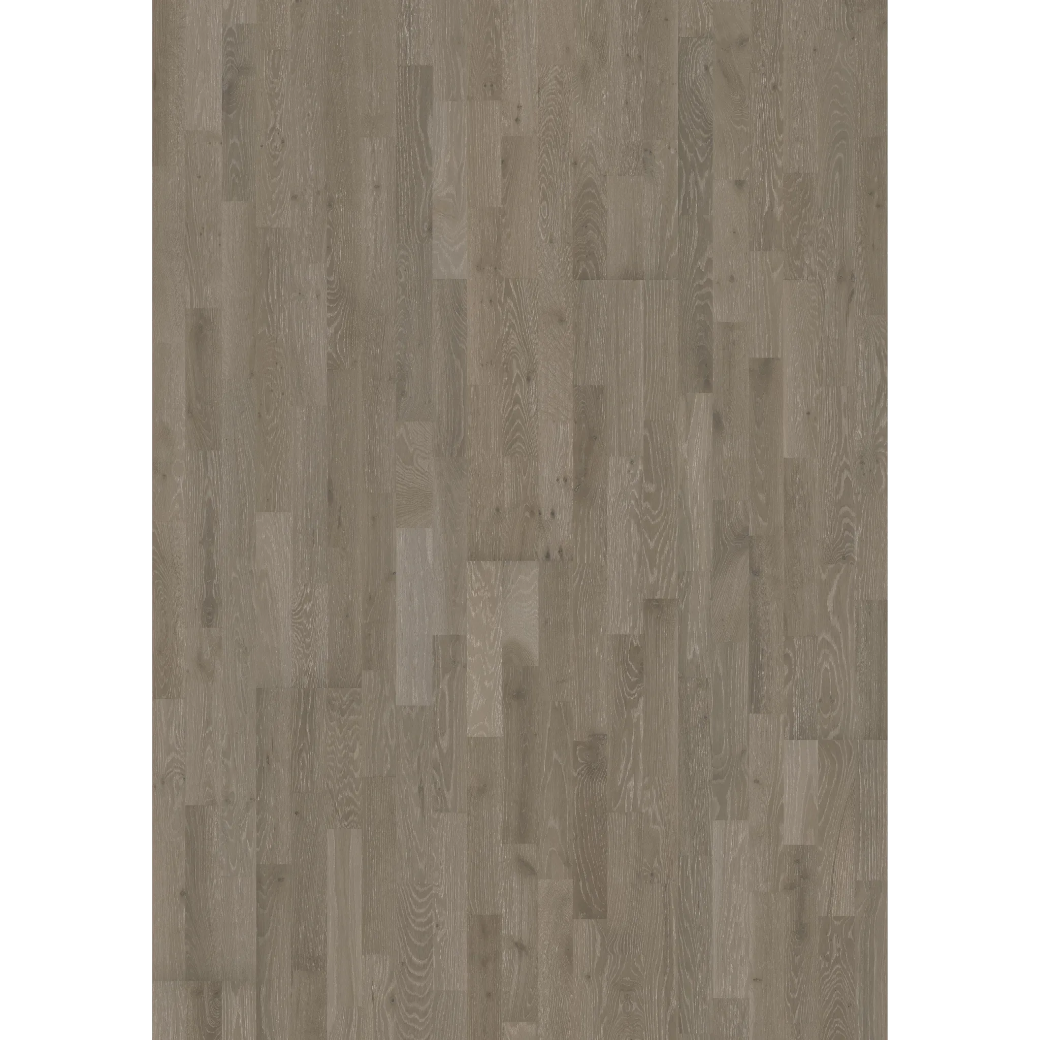 Oak Alloy