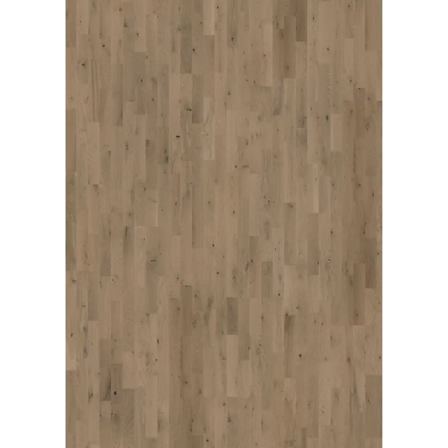 Oak Frozen Hazelnut Strip