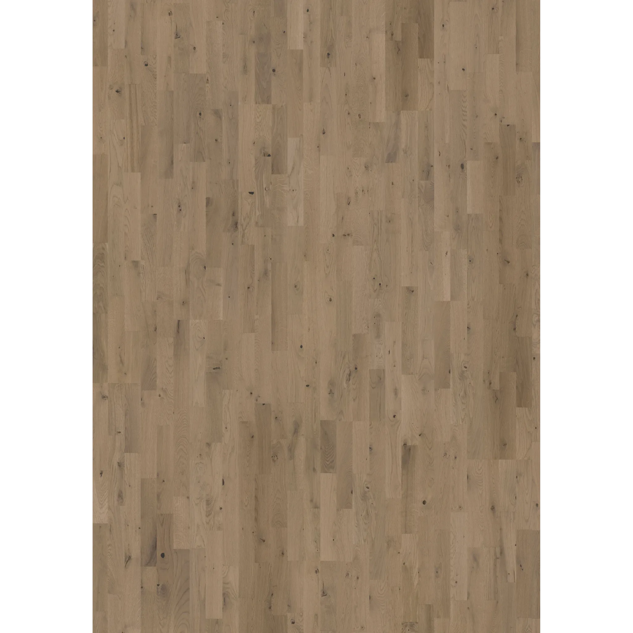 Oak Frozen Hazelnut Strip