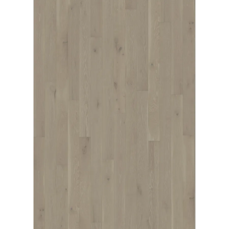 Oak Cinder